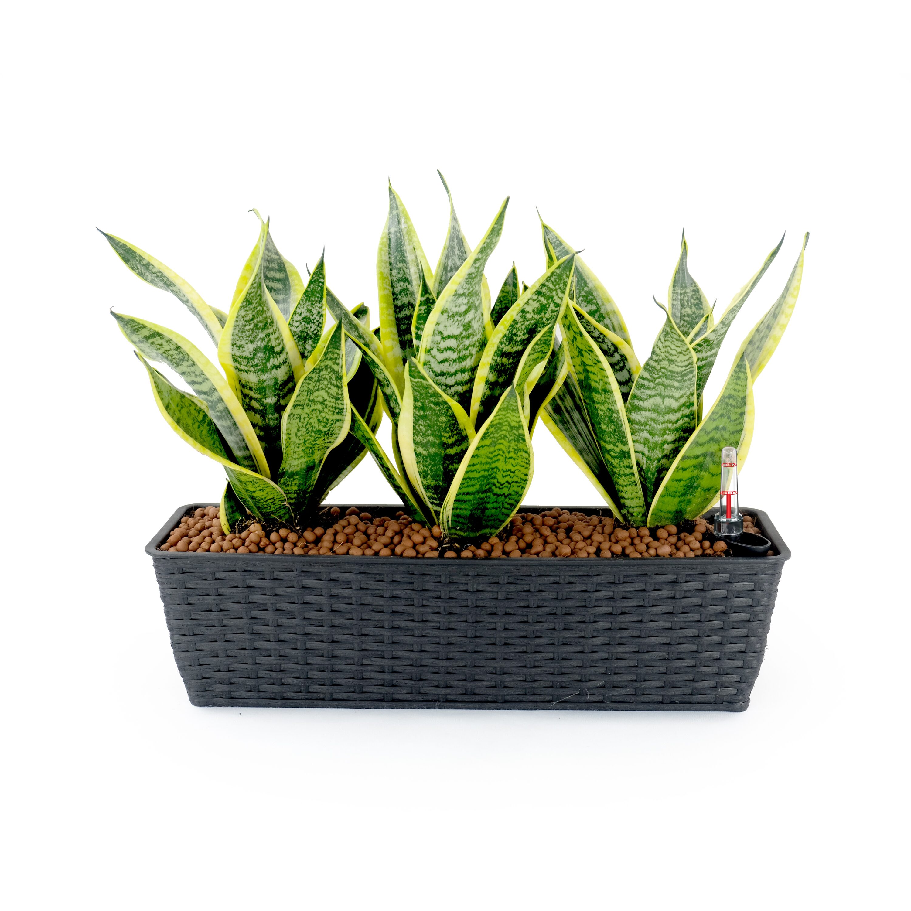 Siavonce XH44635 Planter-Window-Box - View #7