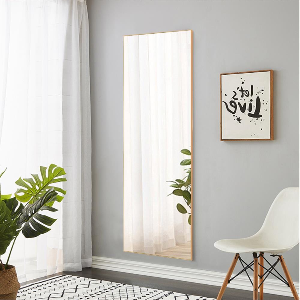 NeuType 16-in W x 51-in H Gold Framed Full Length Floor Mirror at Lowes.com