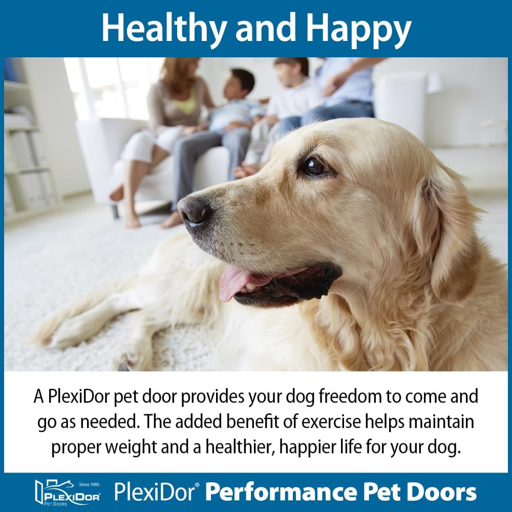 PlexiDor PD WALL LG WH Pet-Doors - View #8