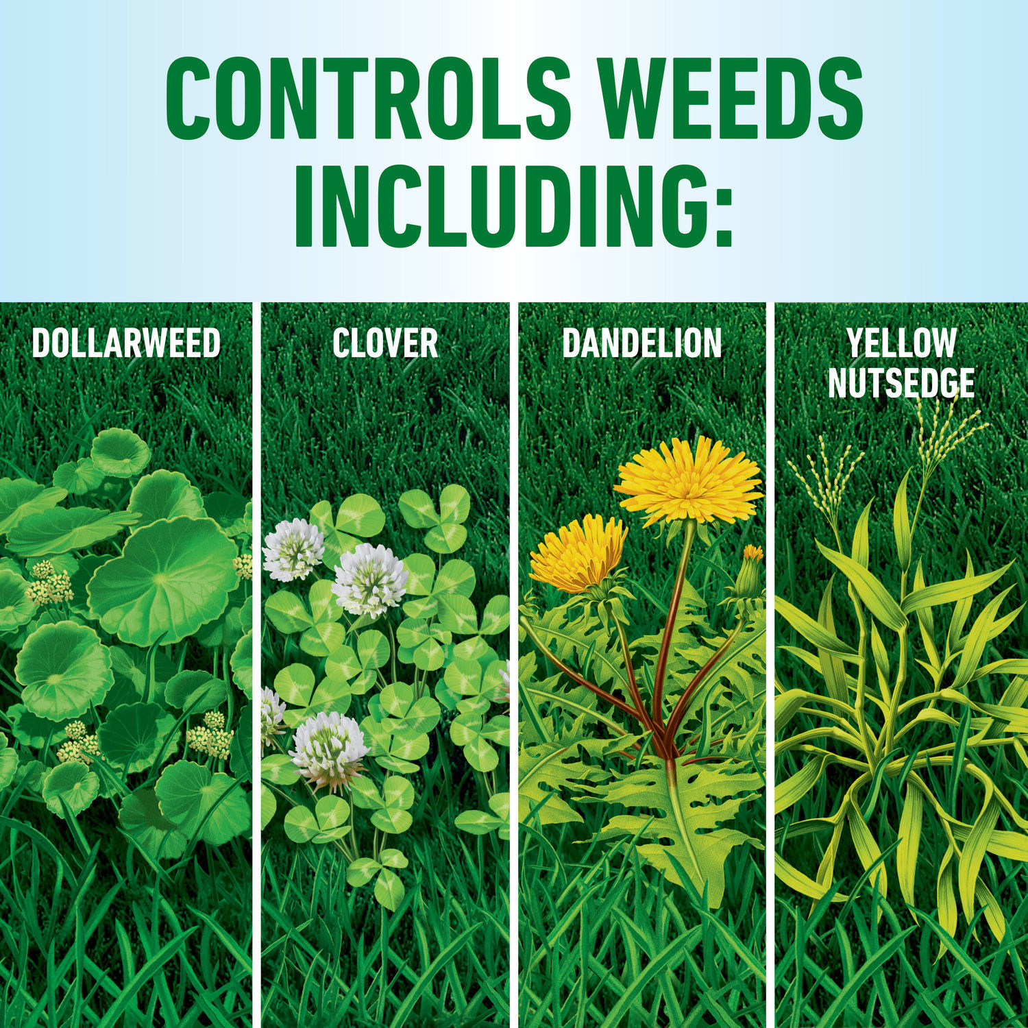 Roundup 5012607 Weed-Killers - View #5