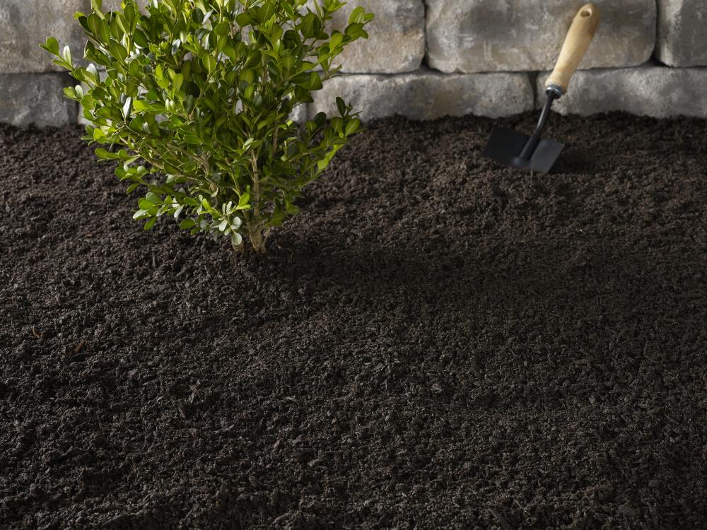 Black Velvet 912565 Soil-Conditioner - View #5