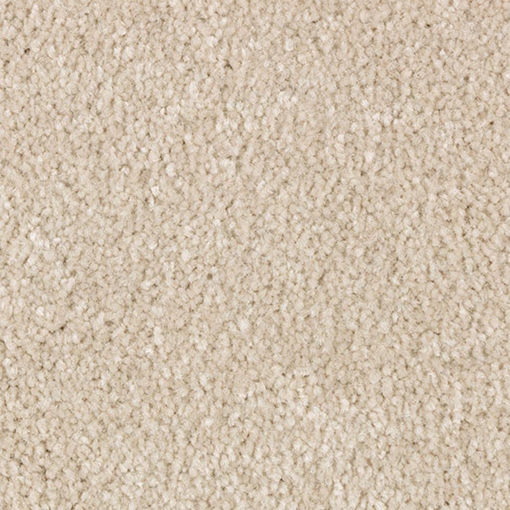 STAINMASTER STP69-L010-0808 (Sample) Serenity Stride III Nectar Brown 70-oz sq yard Polyester Textured Indoor Carpet