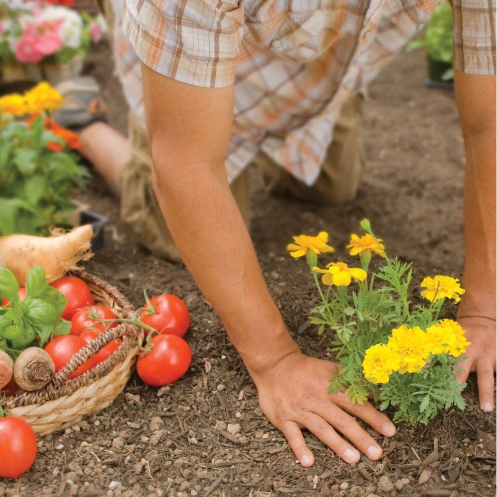 Kellogg 672 Garden-Soil-Soil-Amendments - View #2