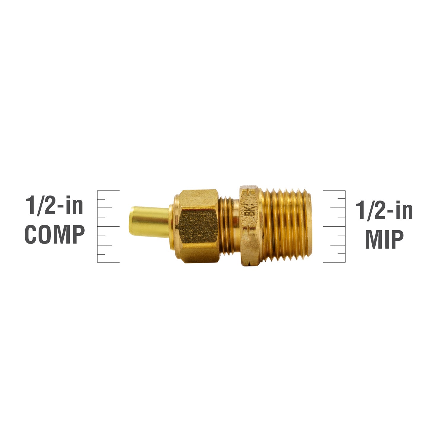 Proline Series 1/2-in x 1/2-in Threaded Coupling Fitting in the Brass  Fittings department at