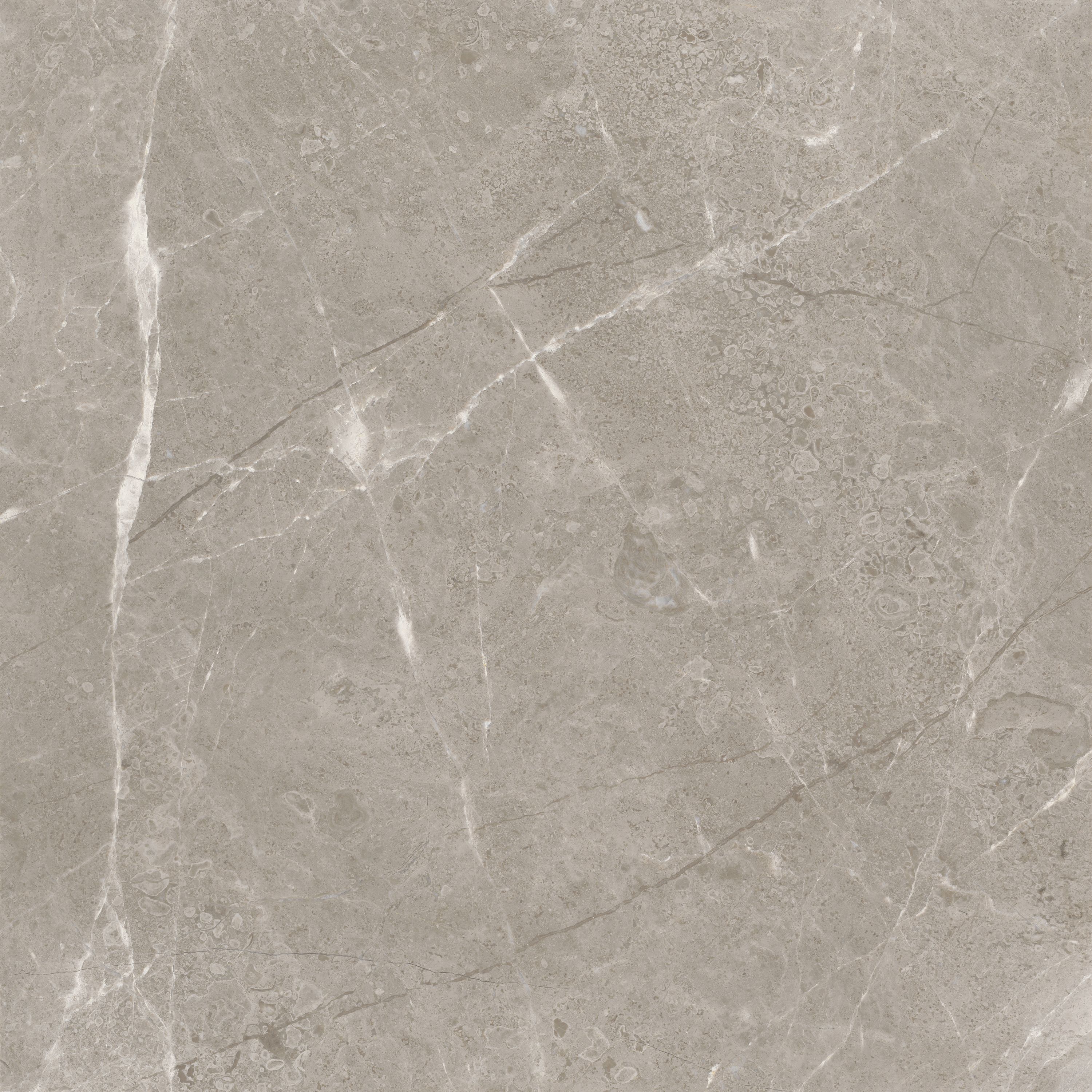 Anatolia Tile Ritz Gray 24 In X 24 In Polished Natural Stone Marble Look Tile At