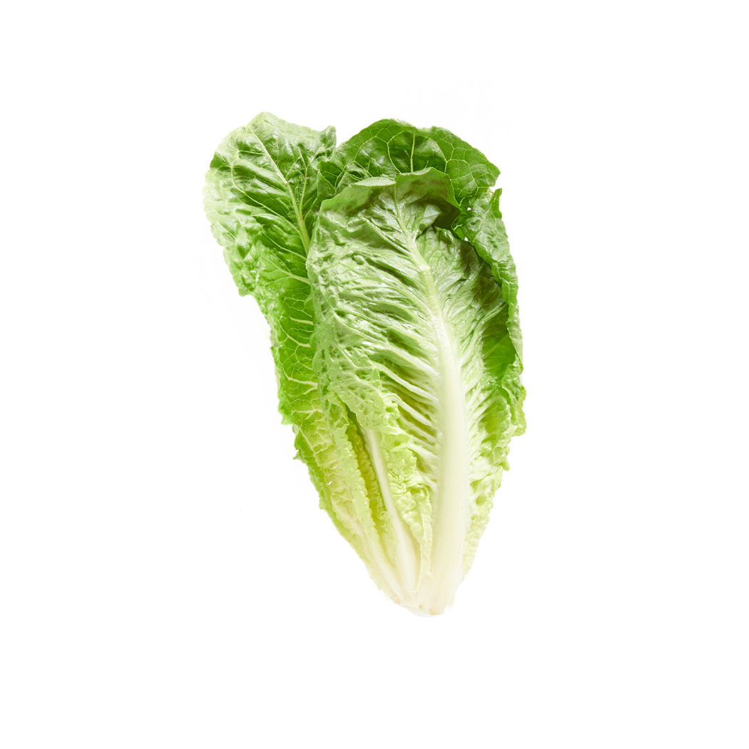 Pomegranate Crunch - Organic Romaine Lettuce Seeds