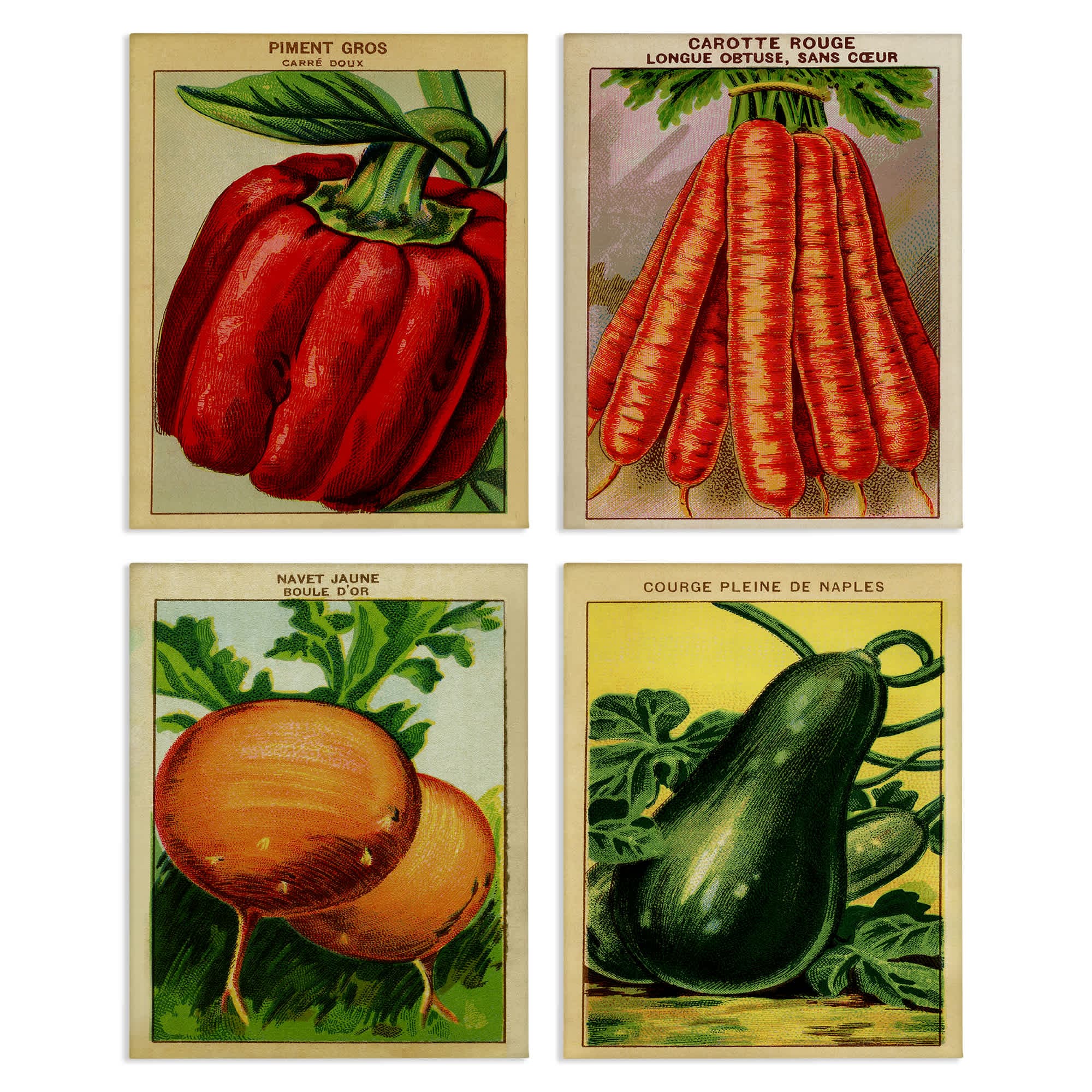 Stupell Industries A4-268-CN-4PC-16X20 Rustic Garden Vegetables 4pc Canvas Set Design by Lil' Rue