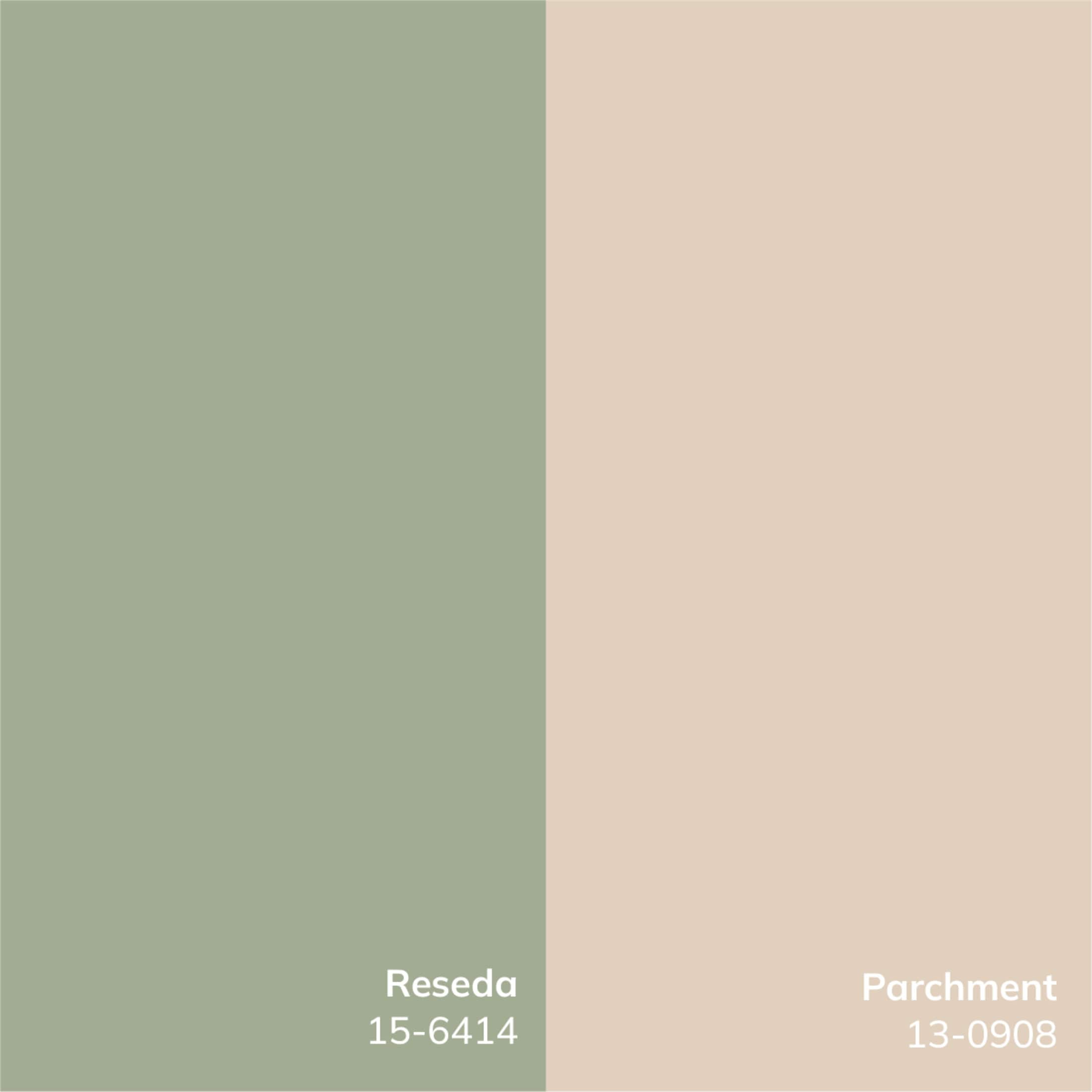 Livabliss NBAL2302-2211 rugs - View #3