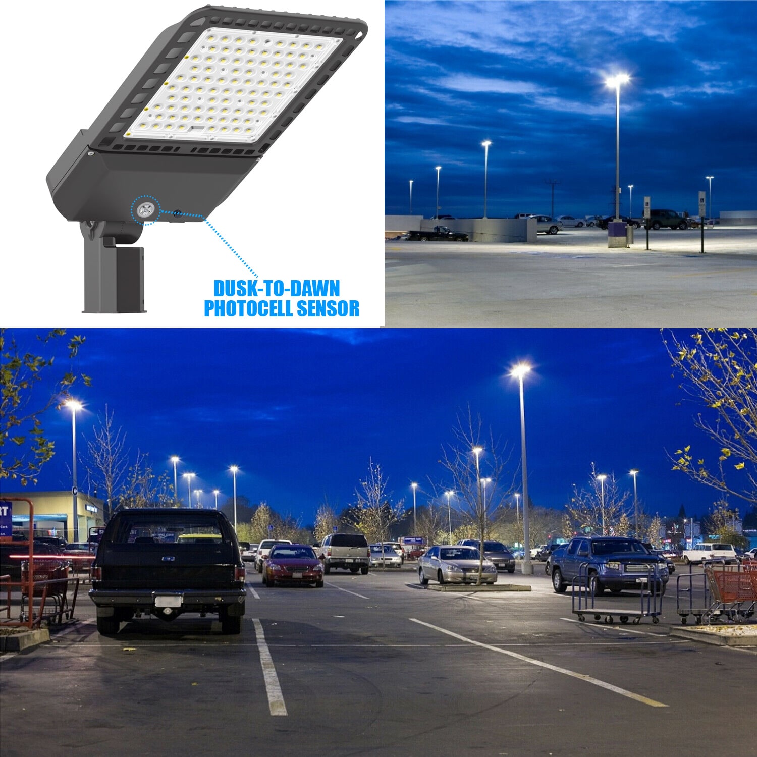 WYZM SBL300-02 Area-Lights - View #10