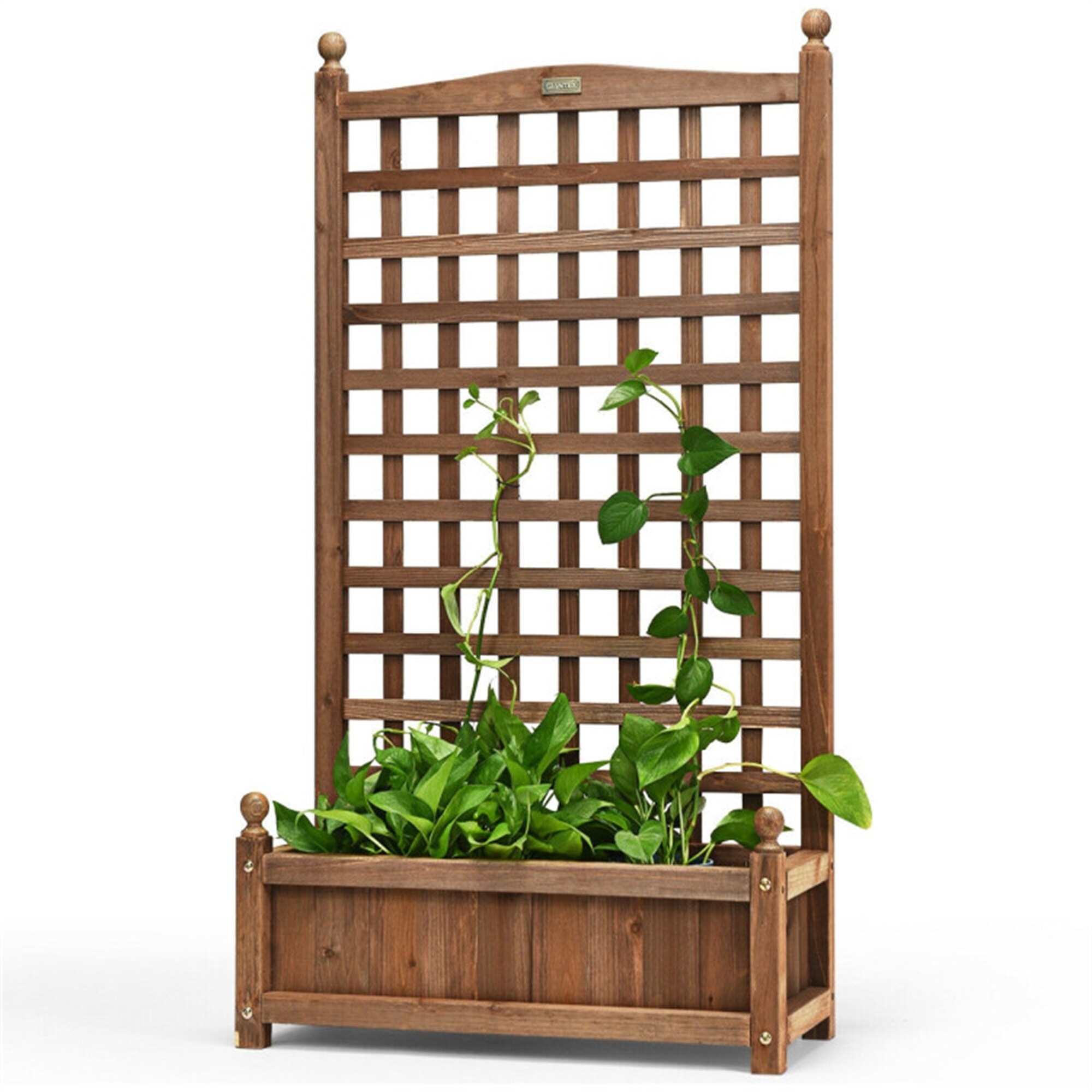 BABOOM BOM-GT3564-CO Raised-Planter-Boxes - View #10