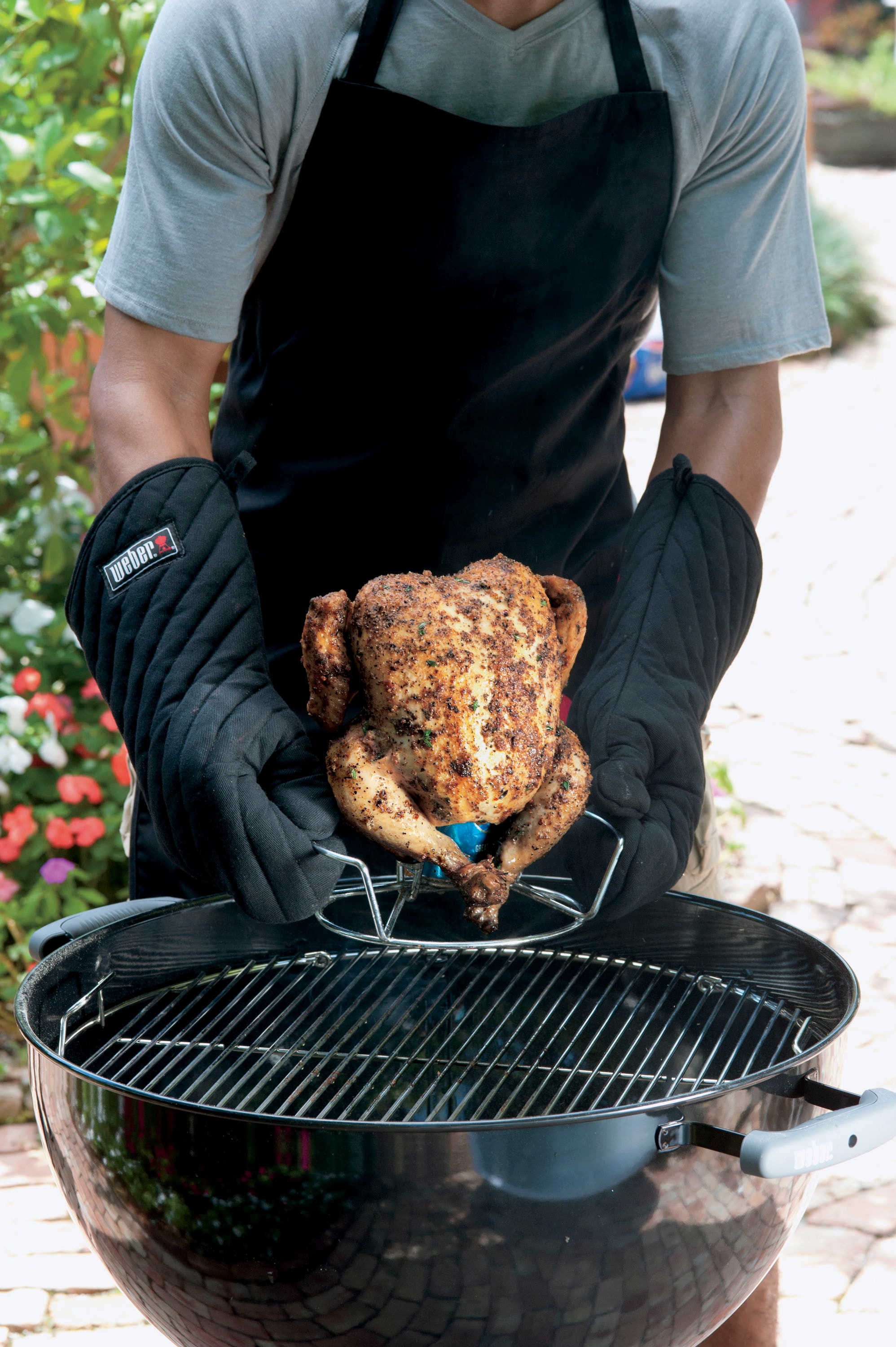 Support Poulet Barbecue Weber Gourmet BBQ System