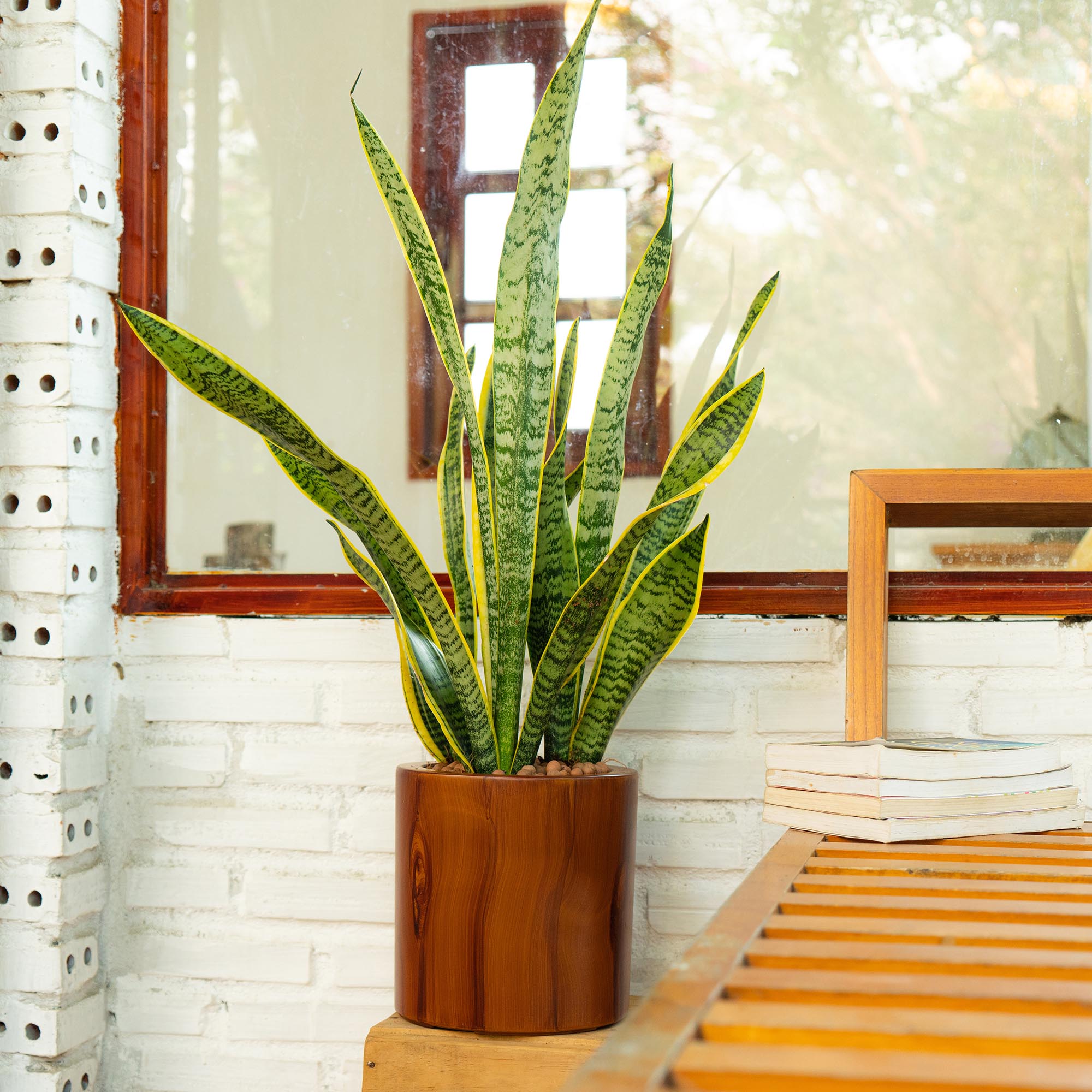 Miki Shinly JJ-4616-01DTY Planter-Window-Box - View #6