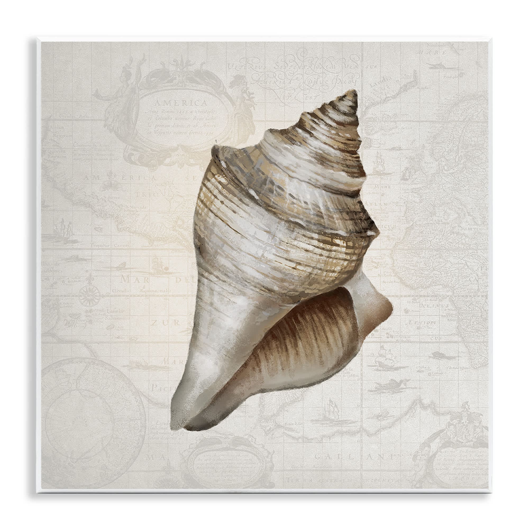 Stupell Industries BT-999-WD-12X12 Conch Shell over Vintage Map Wall Plaque Art By Conrad Knutsen 12 x 12