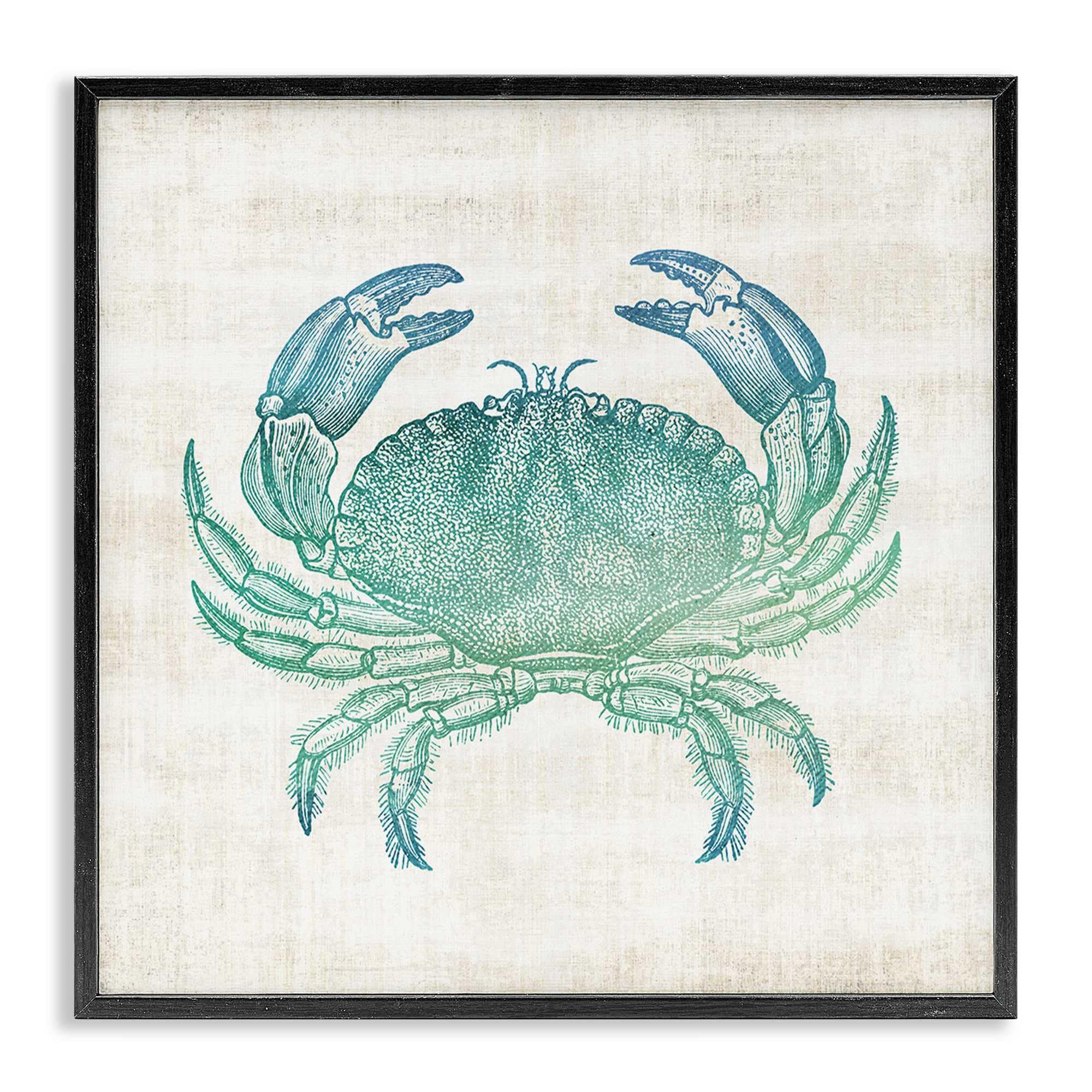 Stupell Industries BS-170-FR-12X12 Ombre Crab Impression Black Framed Giclee Art By Susan Arnot 12 x 12