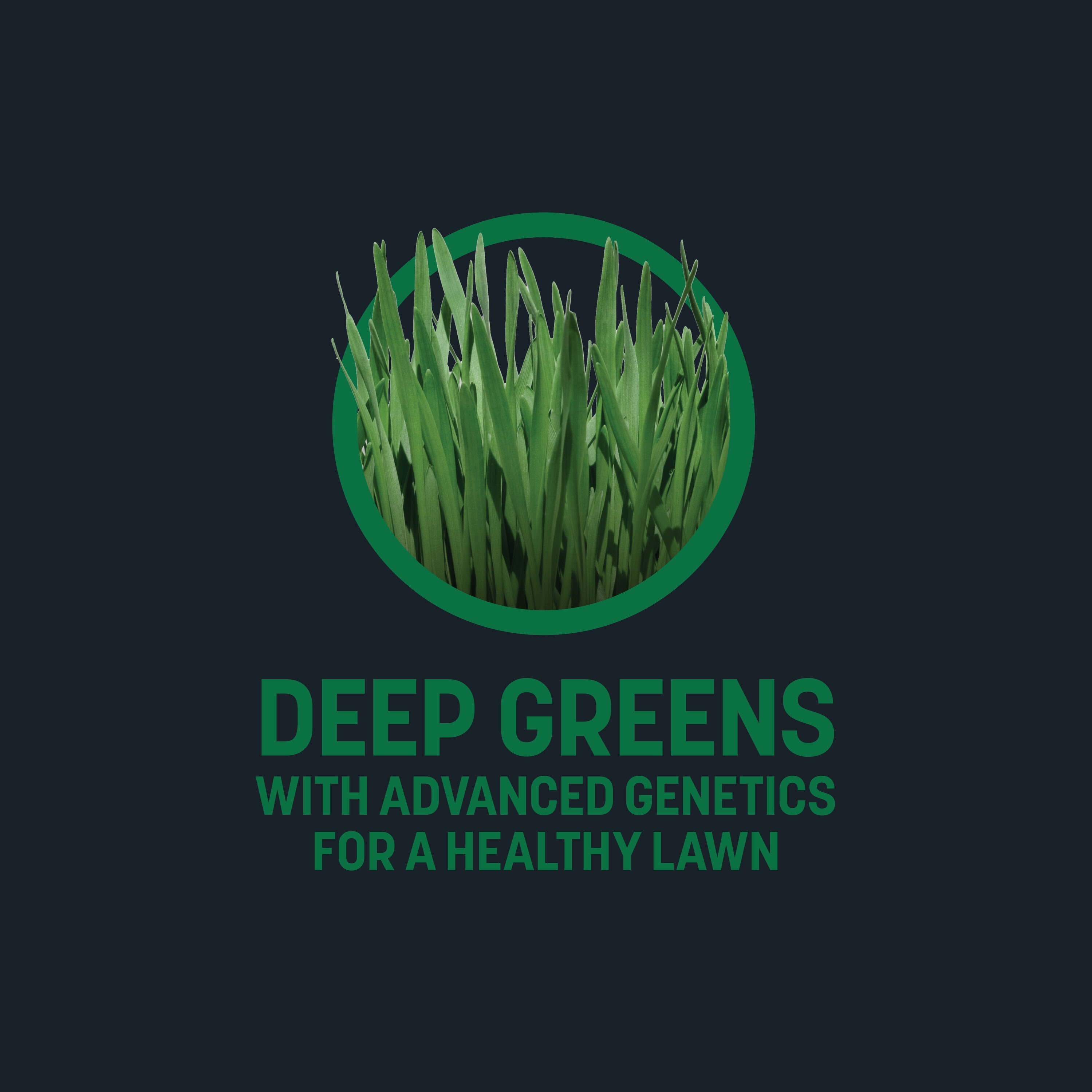Sta-Green PS-PMSSH5 Grass-Seed - View #6