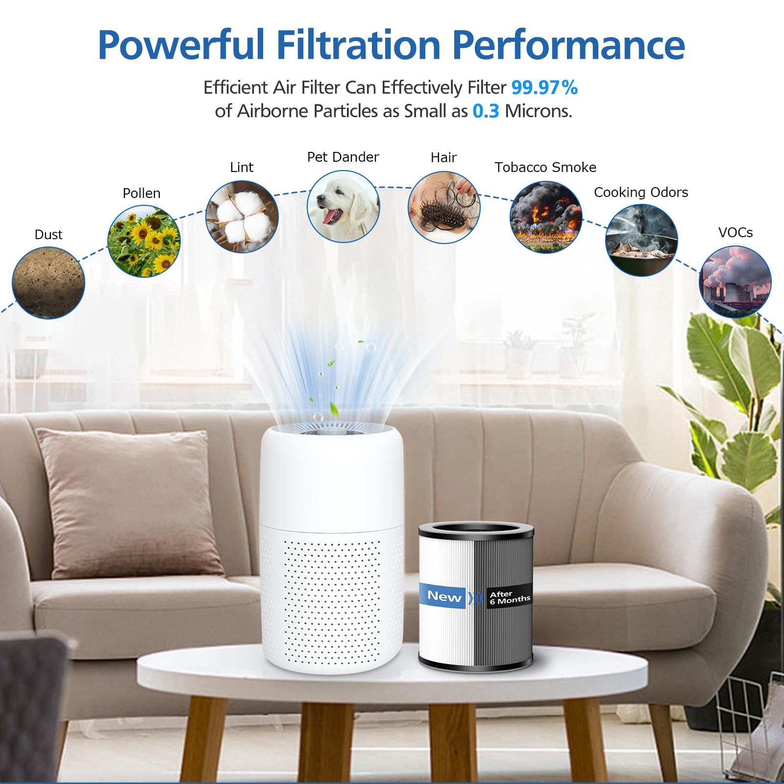 WOCK 2 Pack Air Purifier Replacement Filters Compatible with TPLMB P60 ...