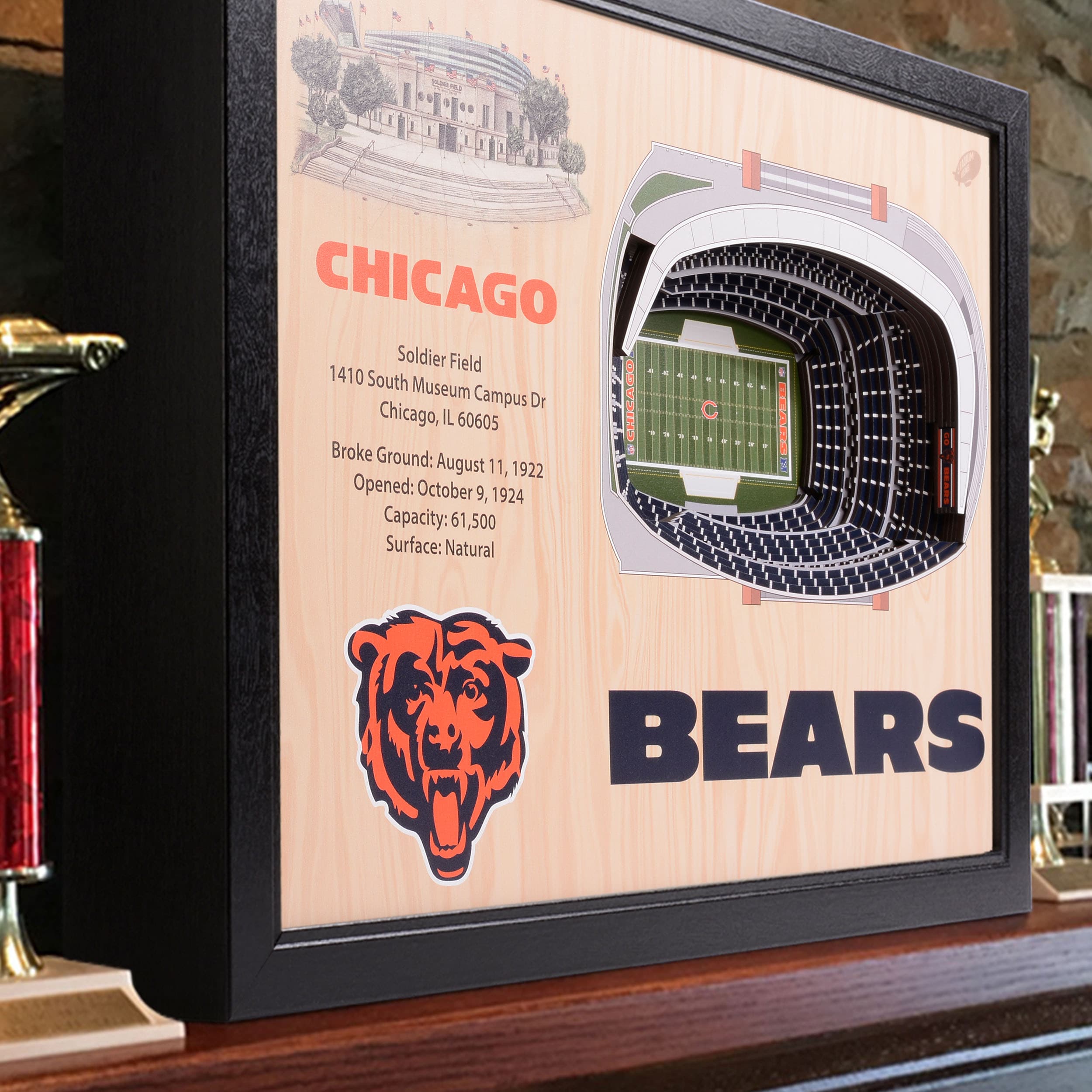 YouTheFan NFL Chicago Bears Wooden 8 in. x 32 in. 3D Stadium