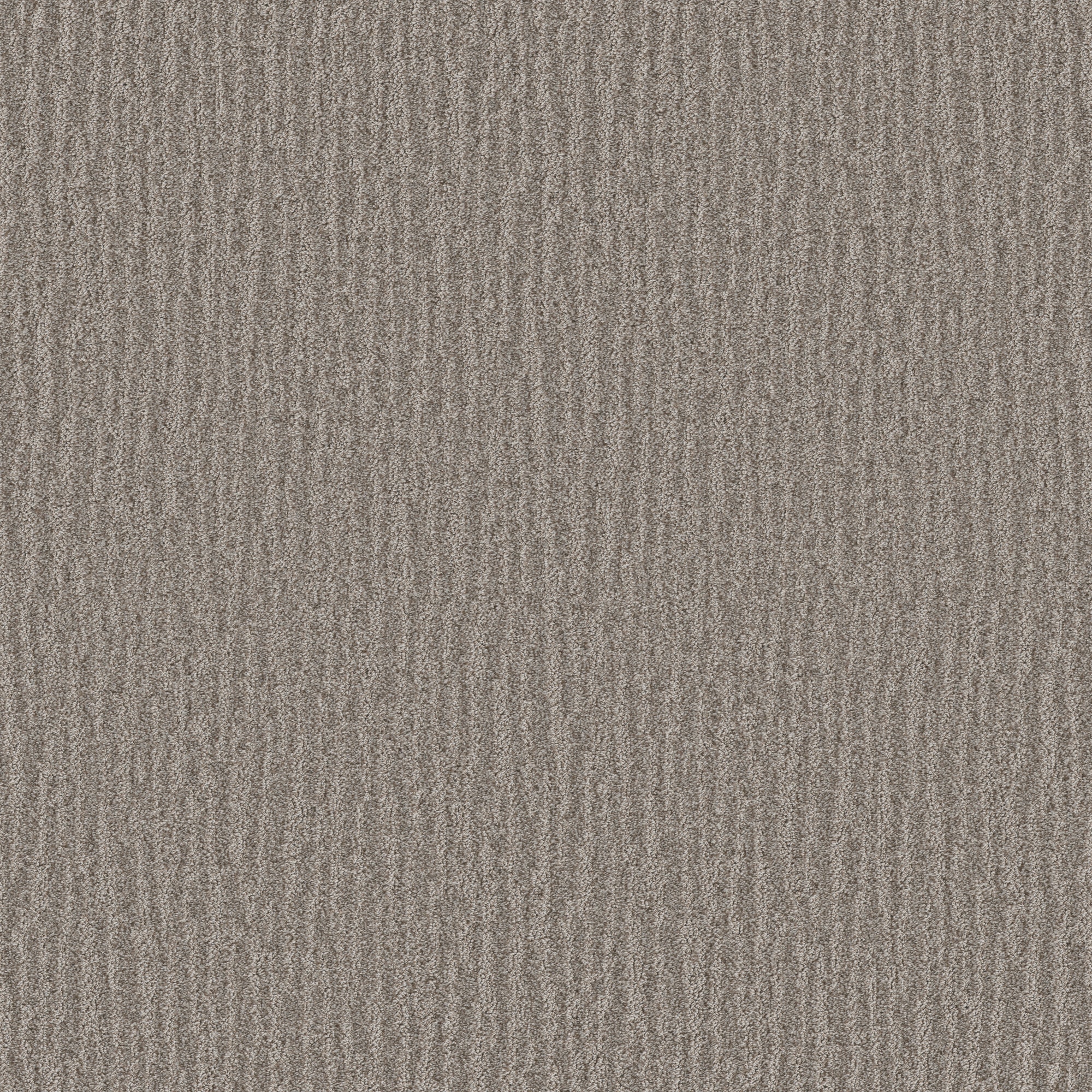 STAINMASTER PetProtect 7L93300710 with LeakDefense No Worries Feldspar Brown 44-oz sq yard Polyester Pattern Indoor Carpet