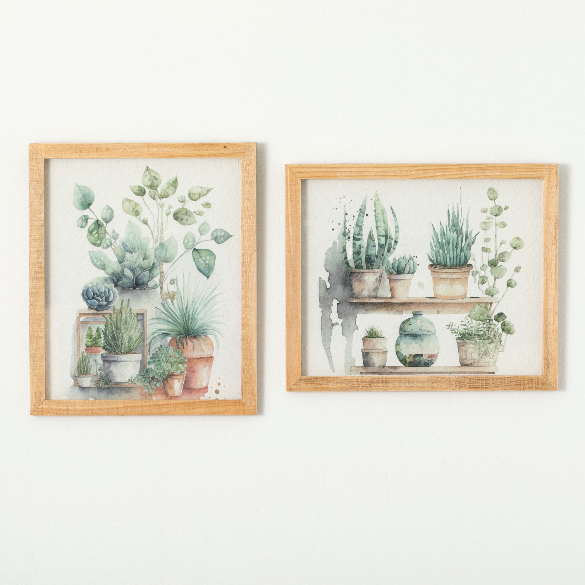 Sullivans N3139  Plant Shadow Box Wall Art Set of 2, 24" 20" Multicolor Brown Wood Framed 24-Inches H x 20-Inches W Botanical Wood Print