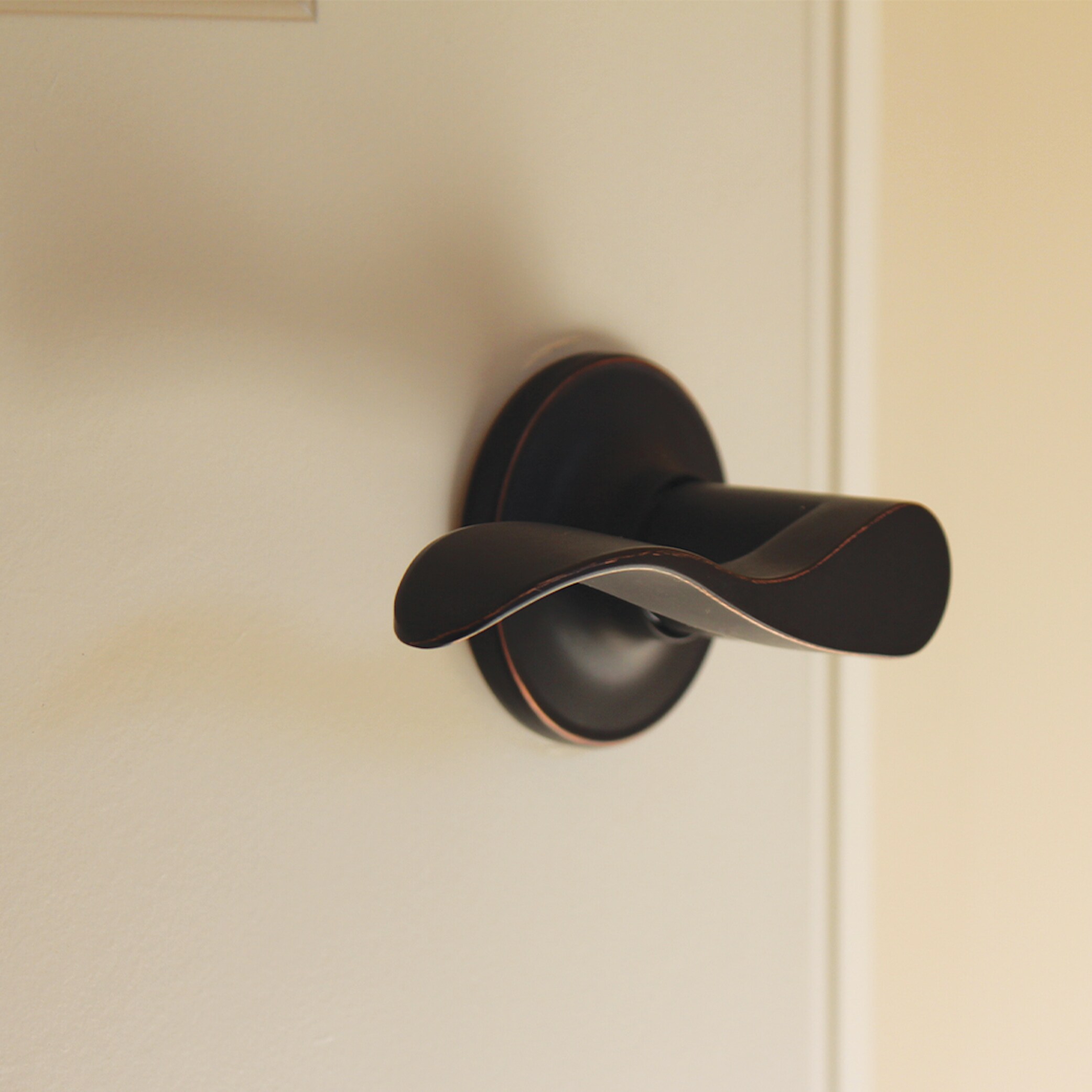Delaney Hardware BN5017R Door-Handles - View #8