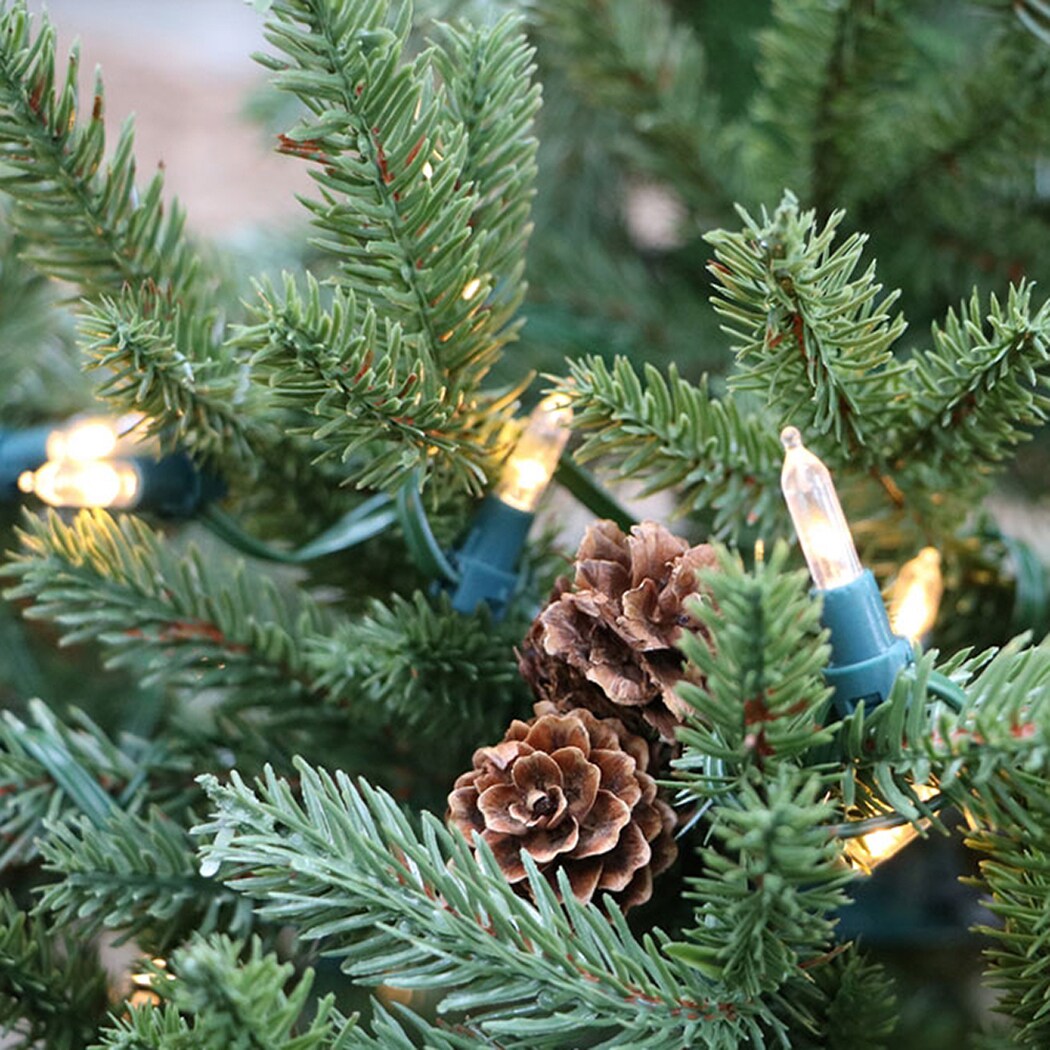 Noble Fir 4' Potted Christmas Tree with LED Lights