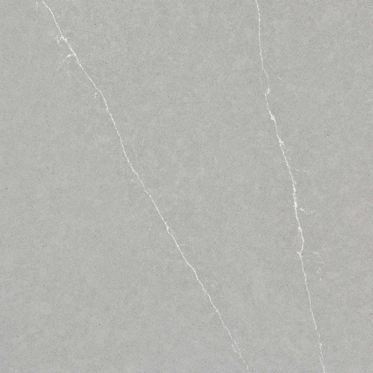 Eternal Serena/Polished Quartz Gray Kitchen Countertop SAMPLE (4-in x 6-in) | - Silestone 263206