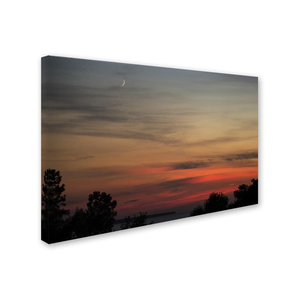 Trademark Fine Art KS0169-C2232GG Wall-Art - View #2