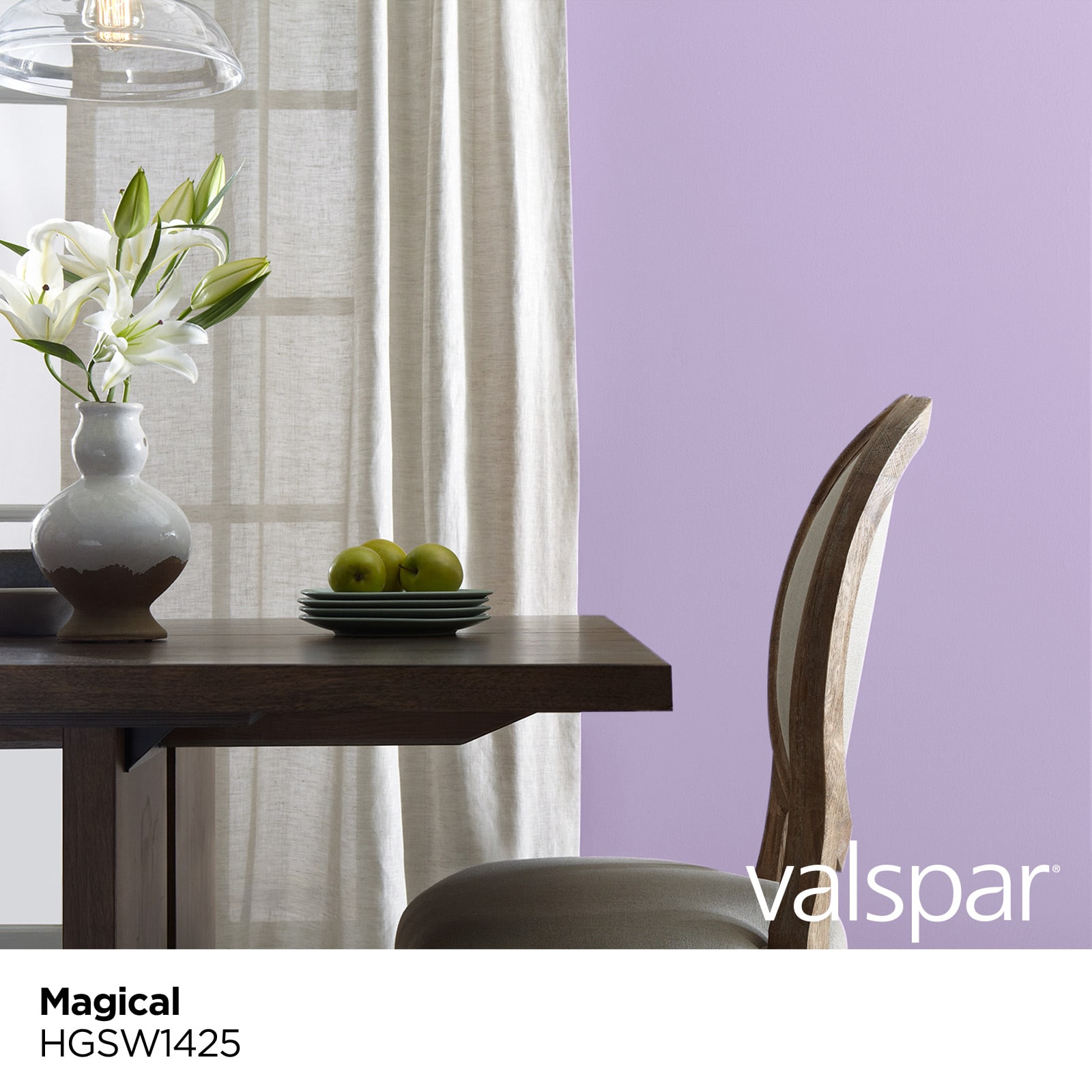 Valspar HGSW1425-26725 Int-Ext-Paint - View #3