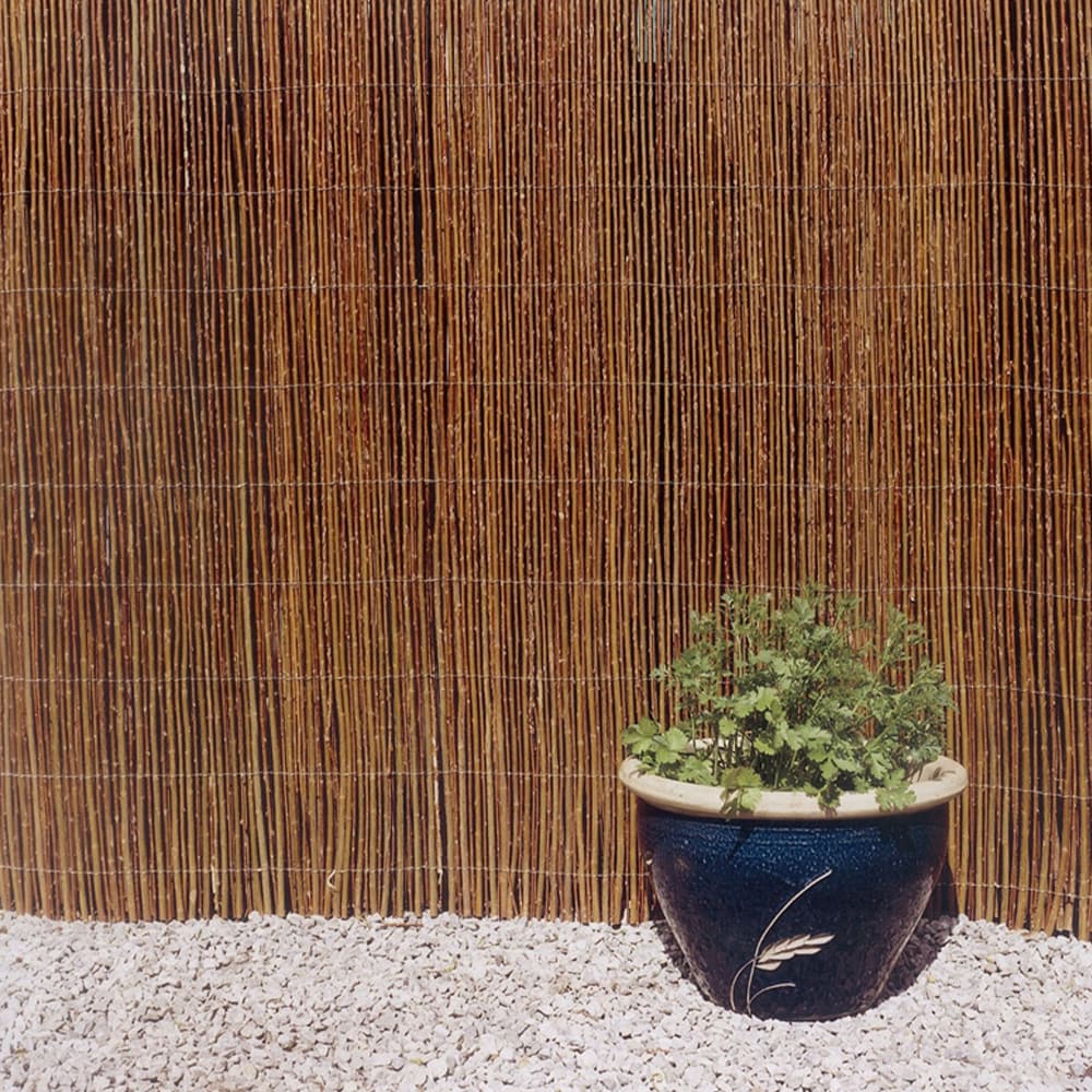 Backyard X-Scapes 16-ft x 6-ft 0.75-Gauge Brown Wood Bamboo