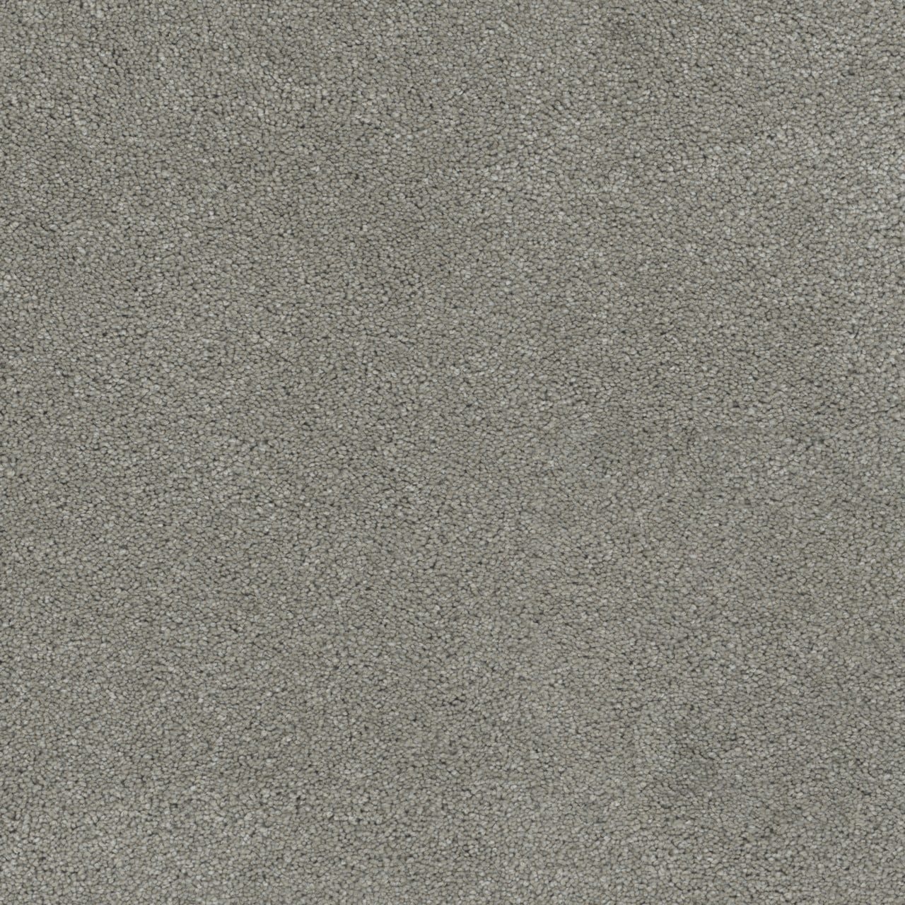 STAINMASTER L5013-1214-1200-AB Joyful Sound II Bubbly Gray 55-oz sq yard Solution-dyed polyester Textured Indoor Carpet