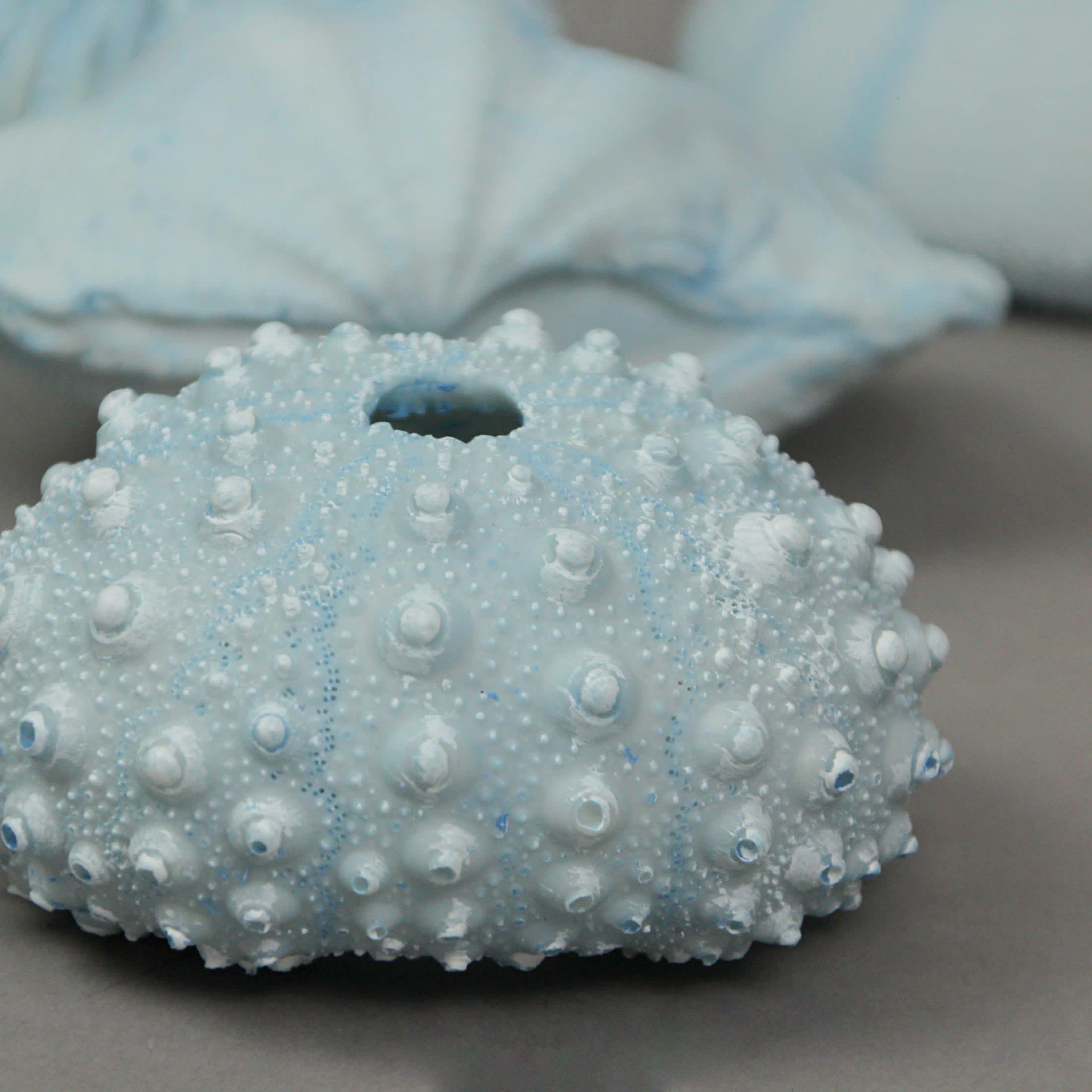 Fancy That Gift & Decor FT-BEA98403-BL-SET Decorative-Accessories - View #3