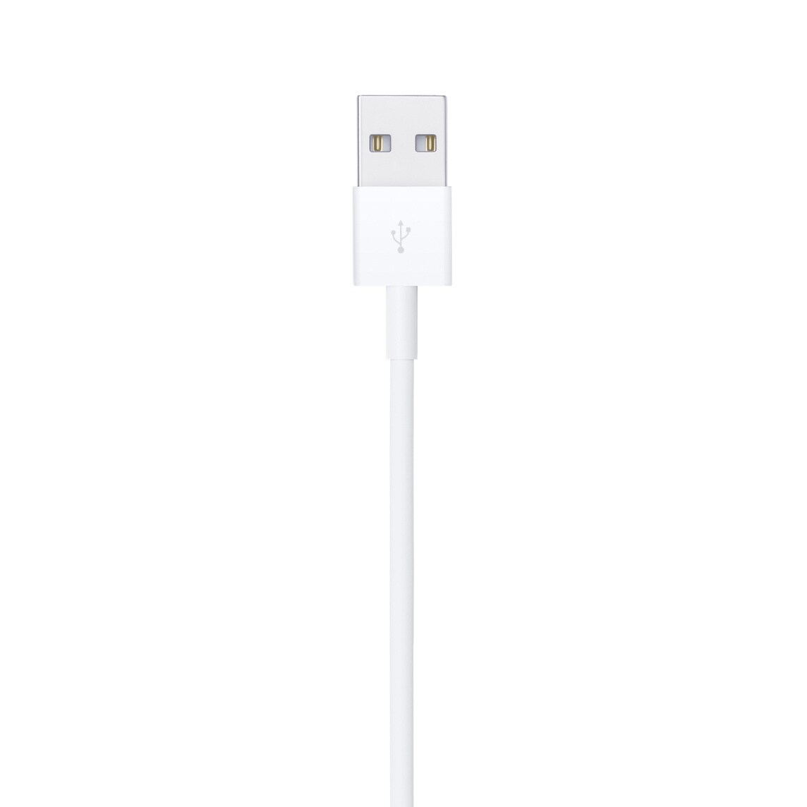 Cable USB-C Lightning 1M (Original) para iPhone / iPad – BB STORE