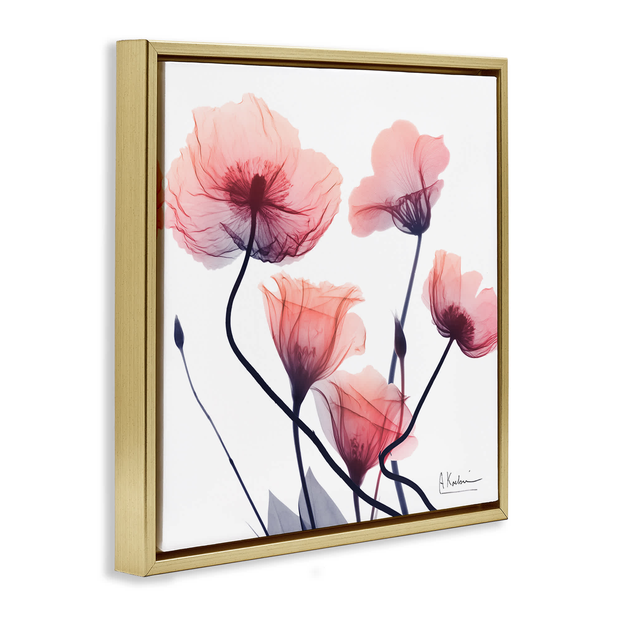 Stupell Industries BS-027-FFG-24X24 Wall-Art - View #2