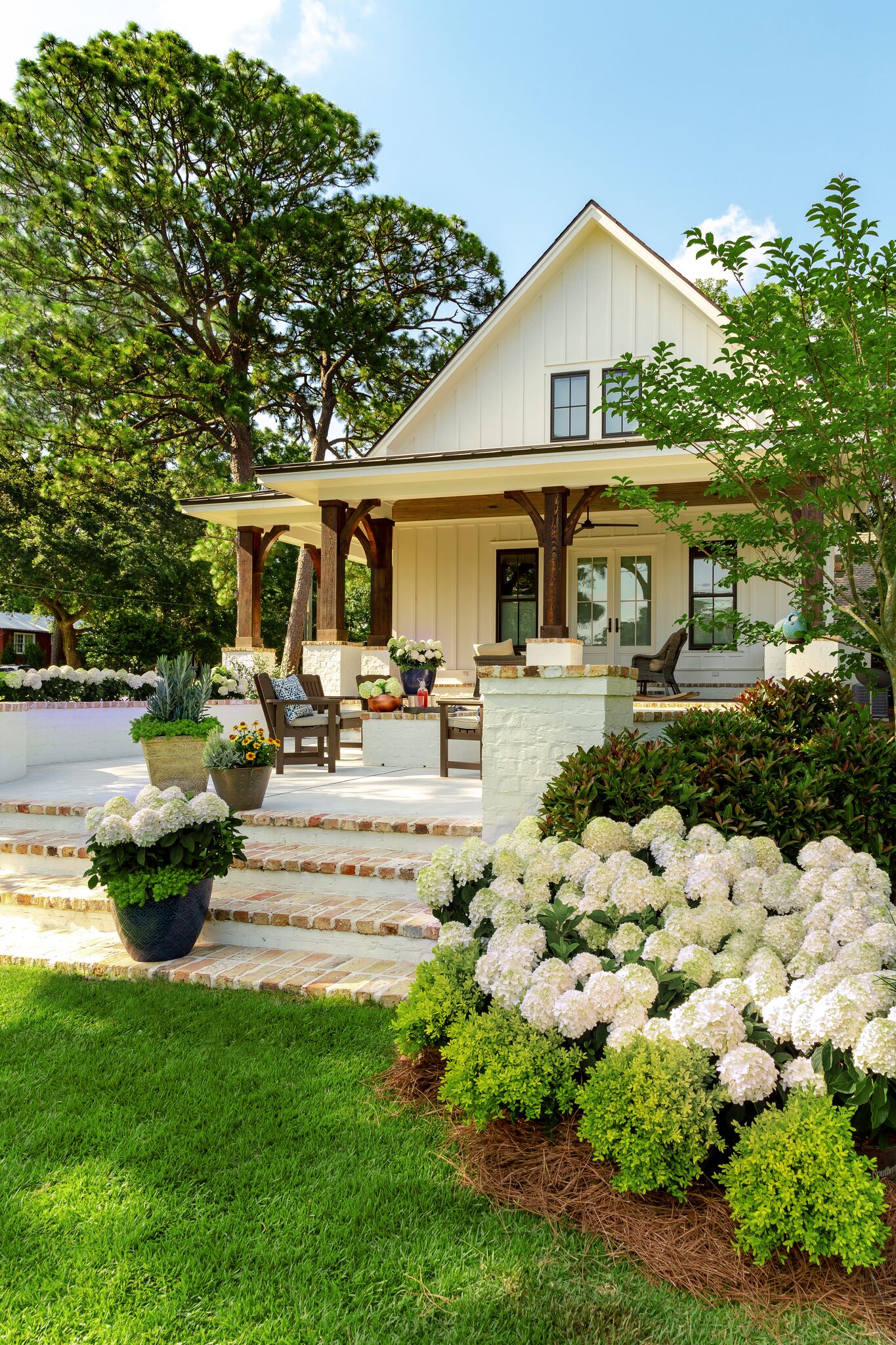 Southern Living Plant Collection 25242-1 shrubs - View #6