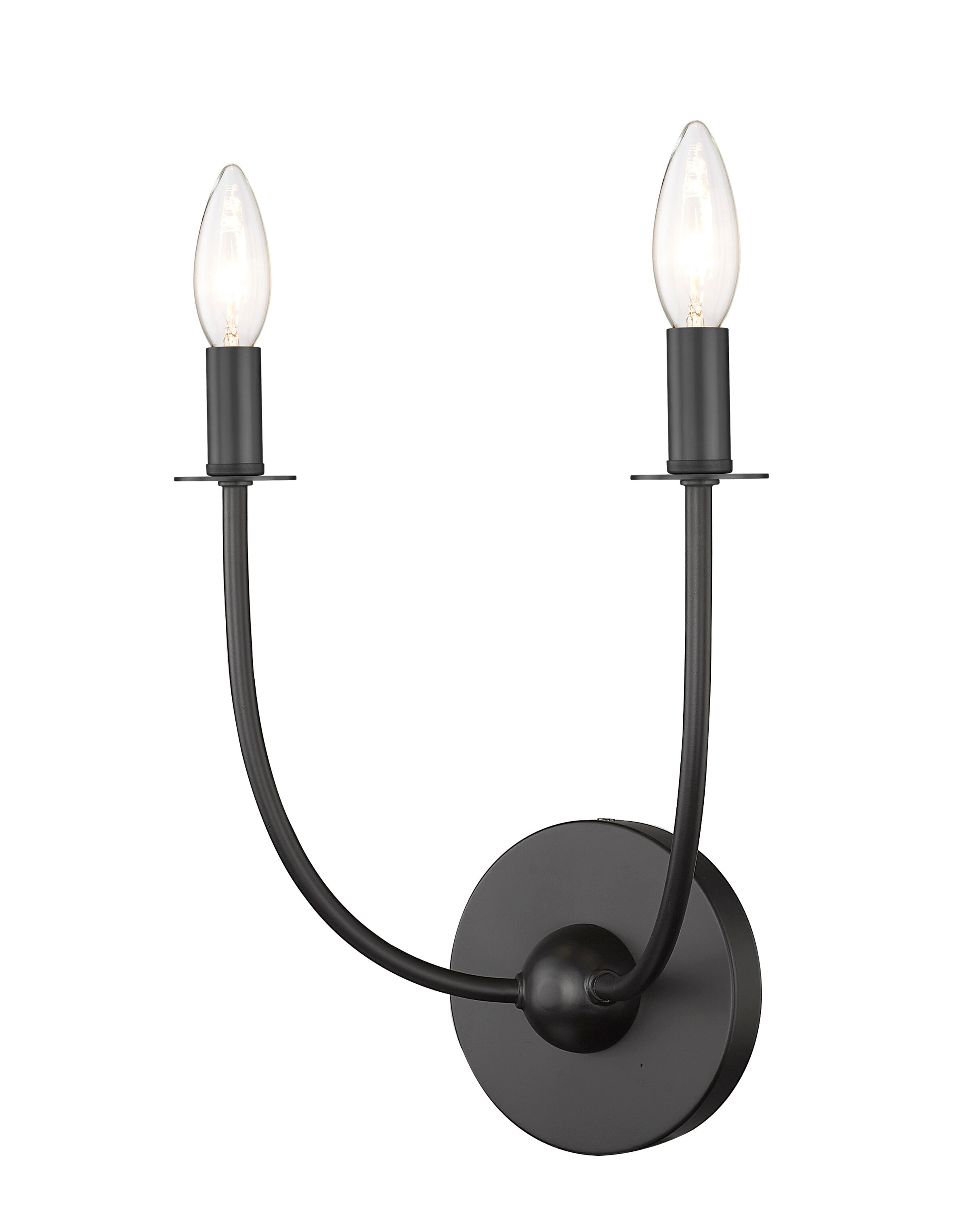Matte Black and White 2-Light Wall Sconce