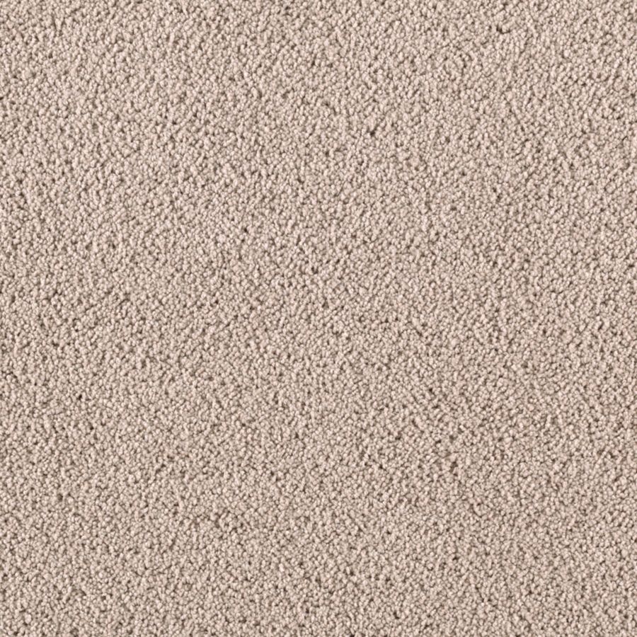 STAINMASTER S622584NEUTRAL -H II (Sample) Essentials Renewed Touch II Neutral Ground Plush Carpet