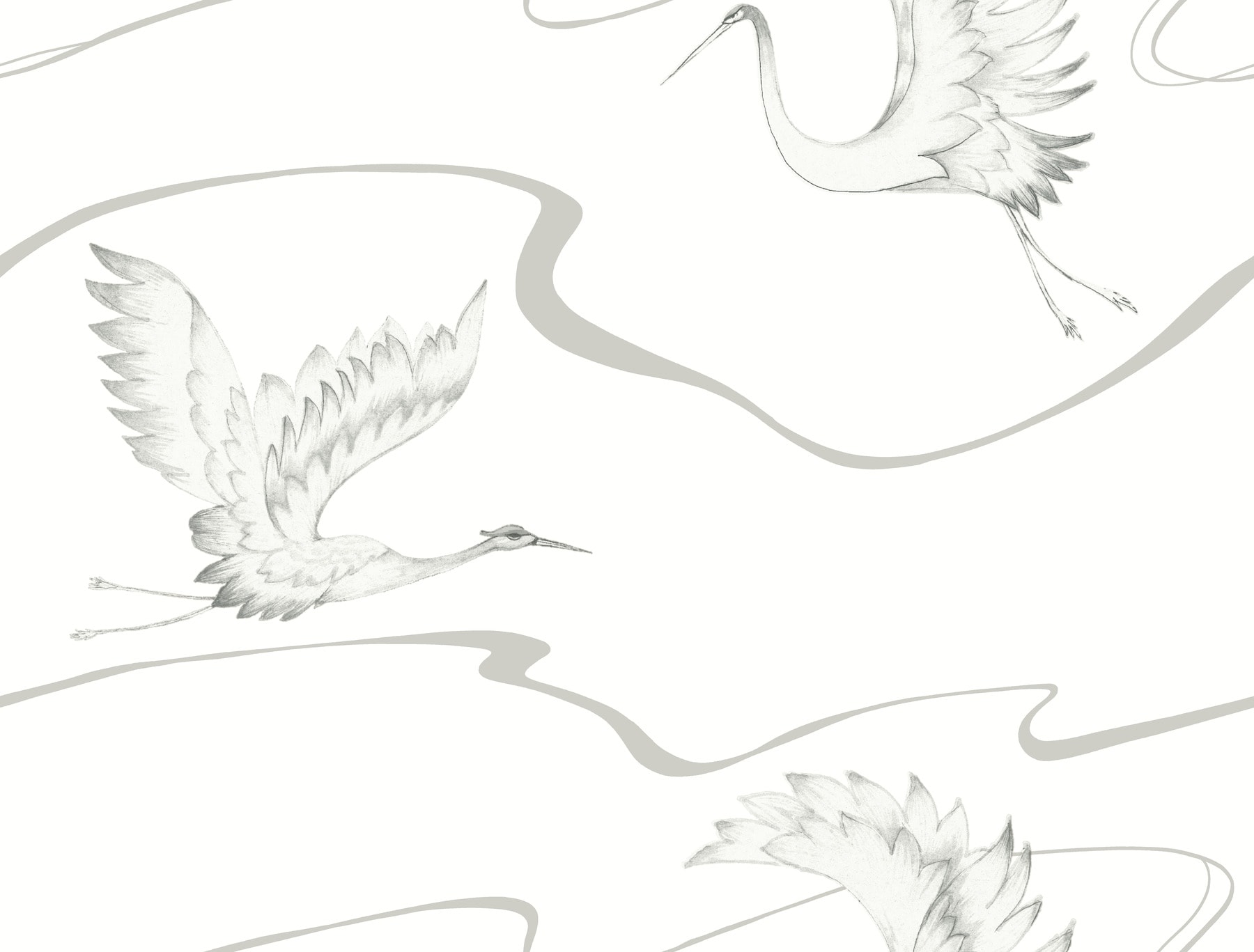 York Wallcoverings BW3873 Black and White Resource Library 60.8-Sq. Feet White Non-woven Animals Prepasted Water Activated Paste Wallpaper