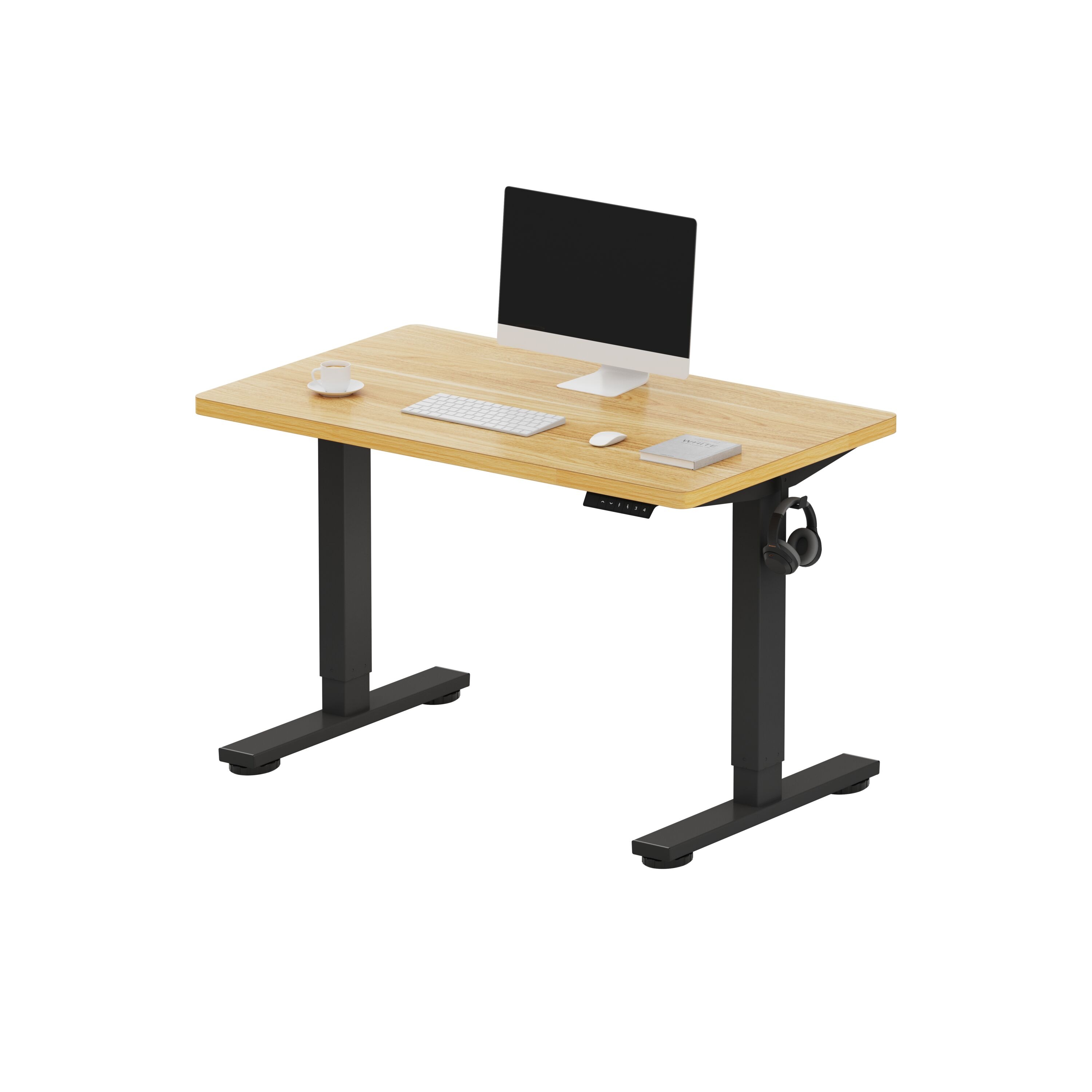 FlexiSpot E2BR4024M 40-in Brown Modern/Contemporary Standing desk