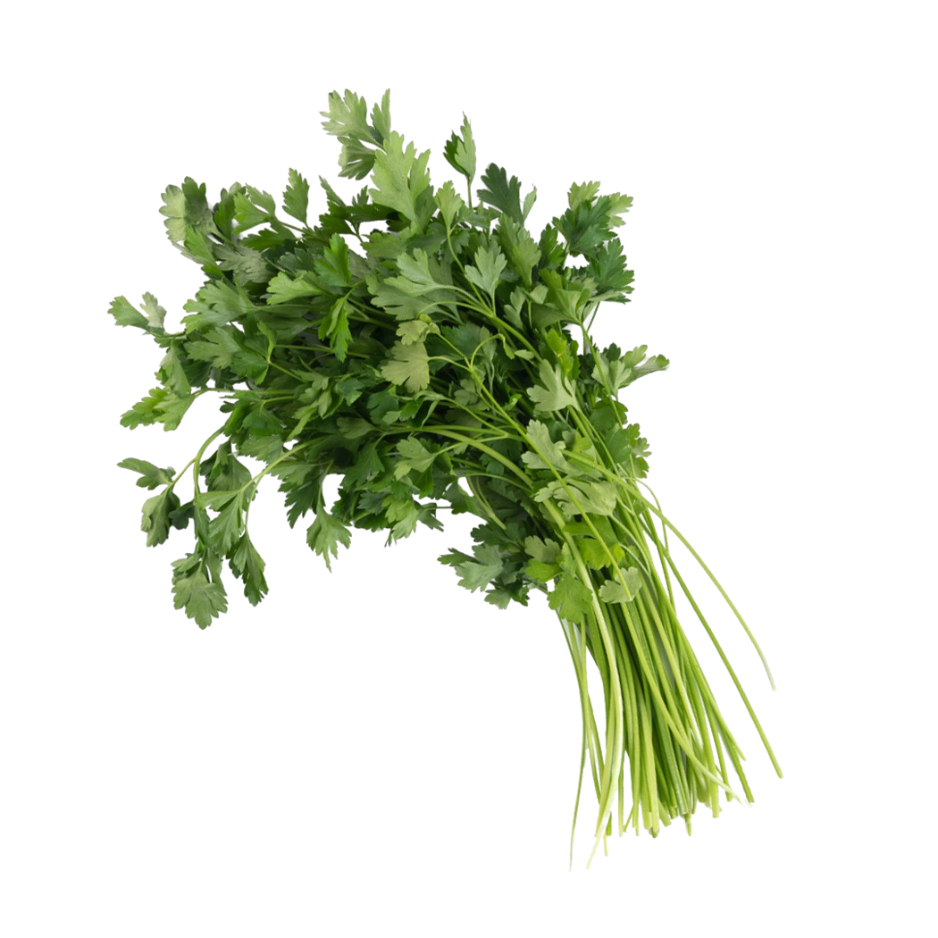 Lettuce Grow 12-pack Parsley- Giant Of Italy In 12-count Planter At 