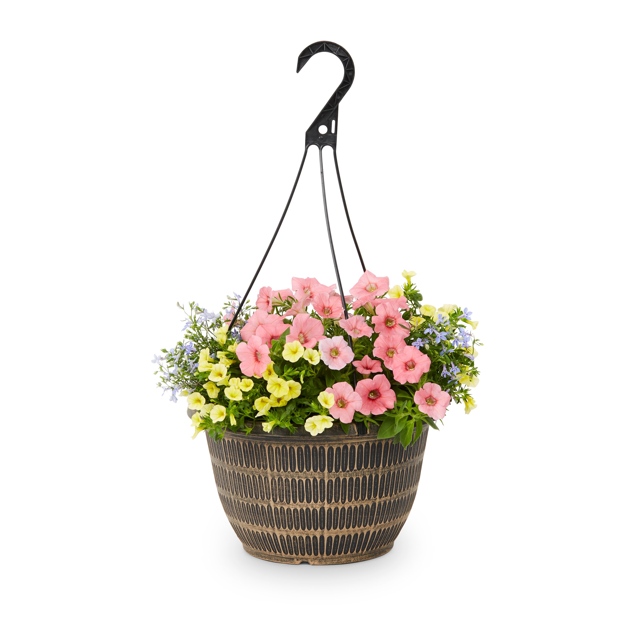 Lowe's Multicolor Mixed Annuals Combinations In 2-gallon Hanging Basket 