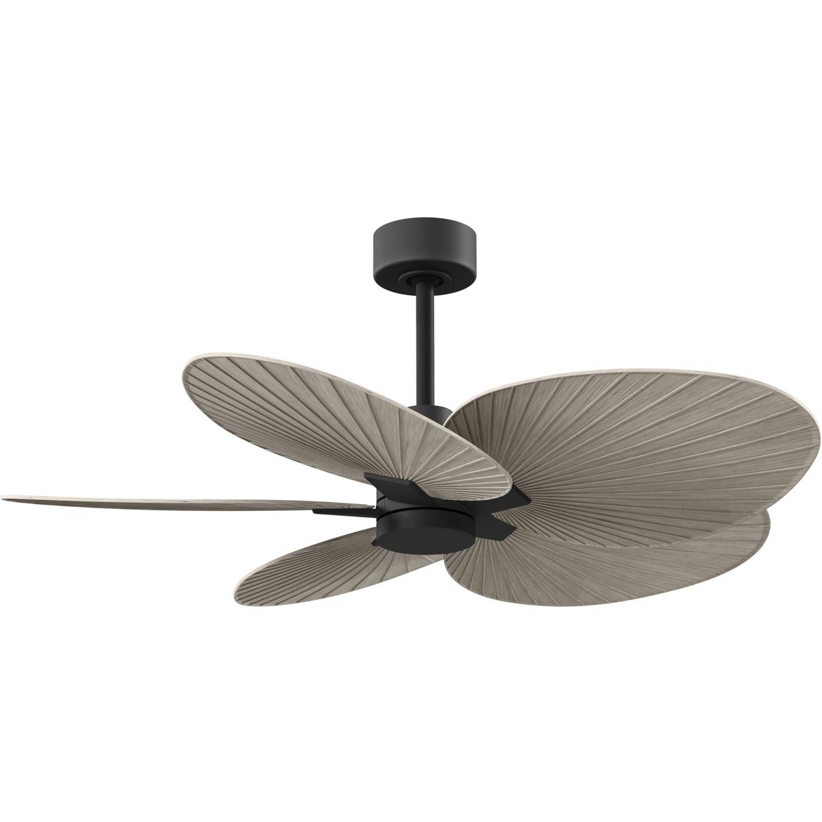 Matthews Fan Company  AKTP-BK-GA Atlas Alessandra Tropical Indoor Ceiling Fan Matte Black