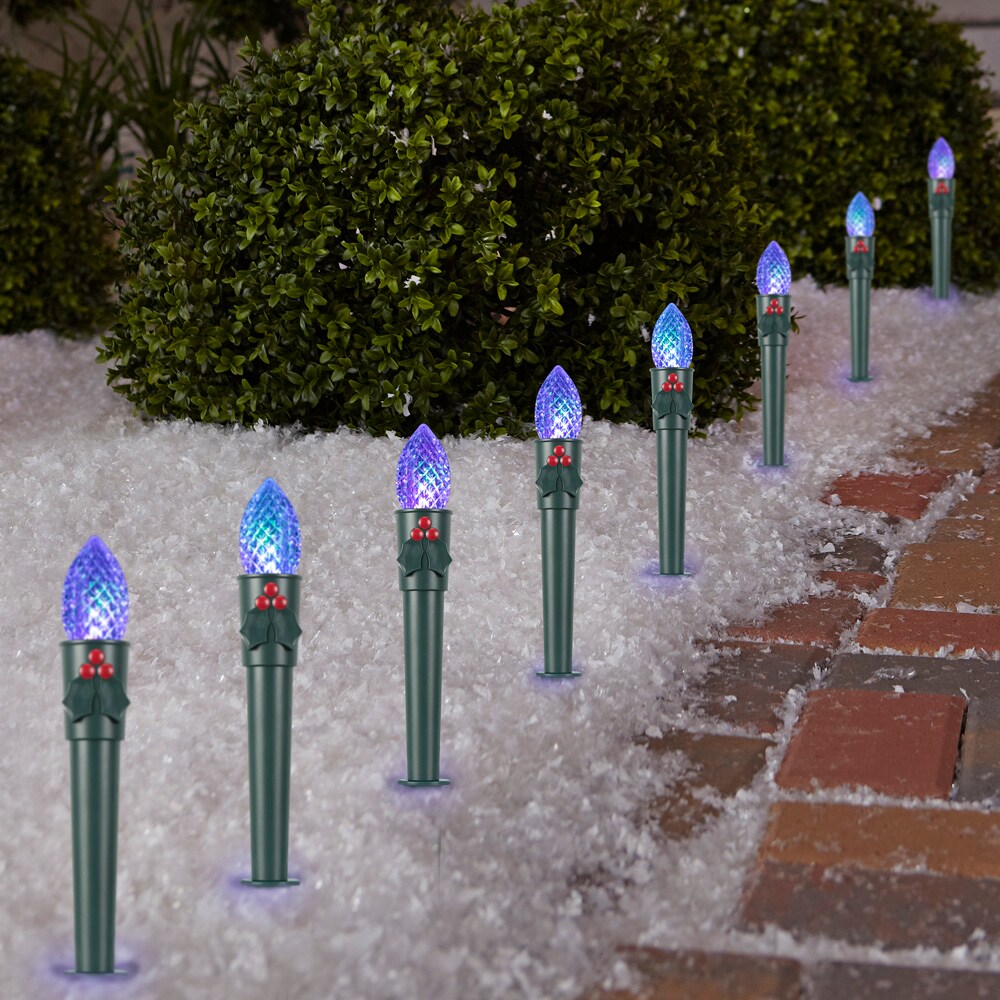 Gemmy 113161 Pathway-Markers - View #3