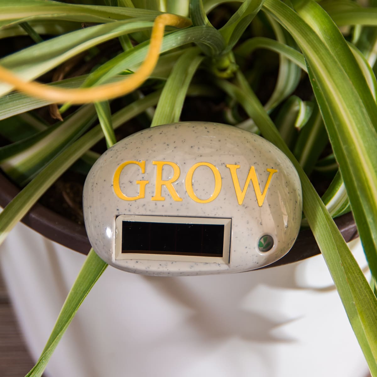 Grow Rock 8101 GrowRock Root Stimulator