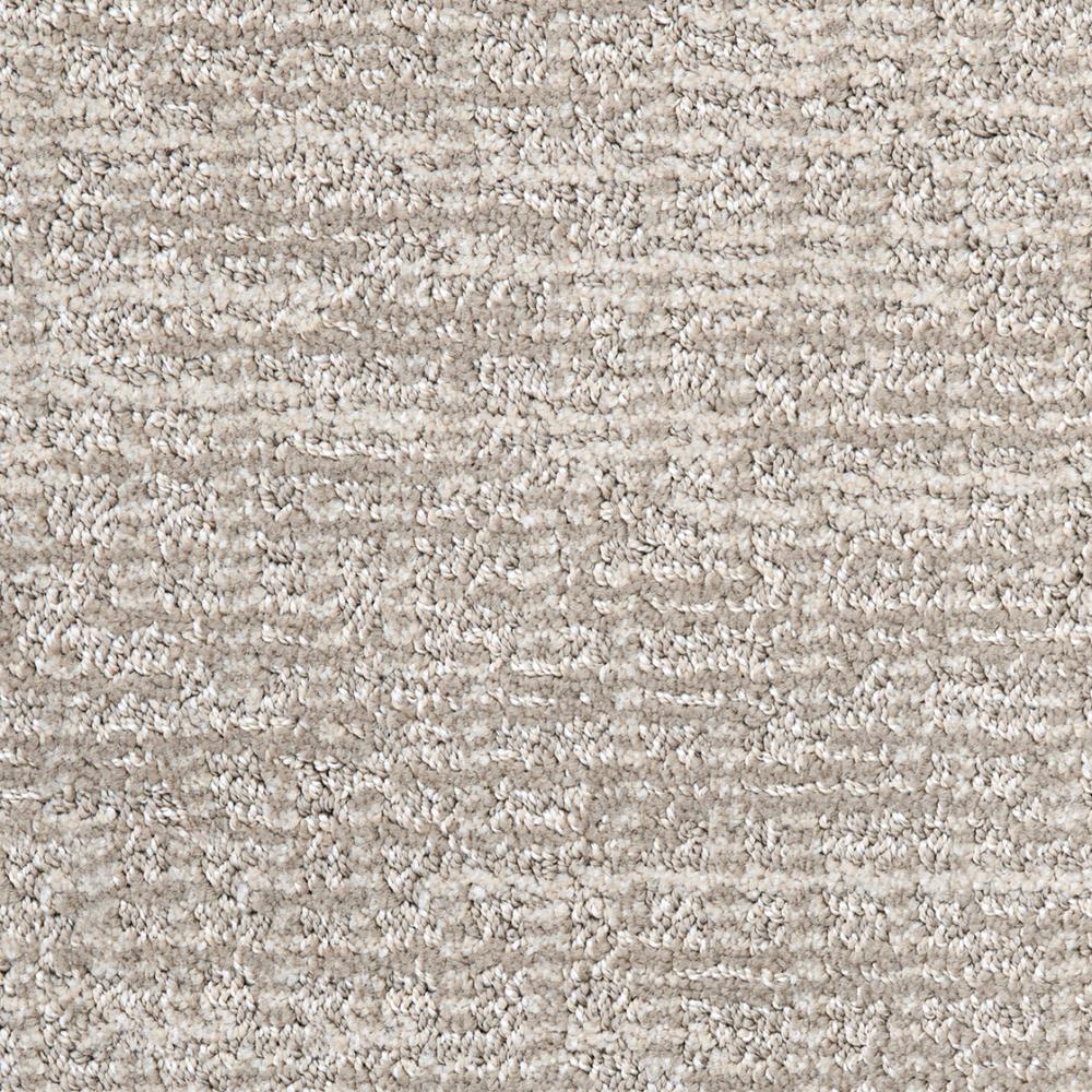 STAINMASTER DL017-111 PetProtect Pembroke Homestead Textured Indoor Carpet