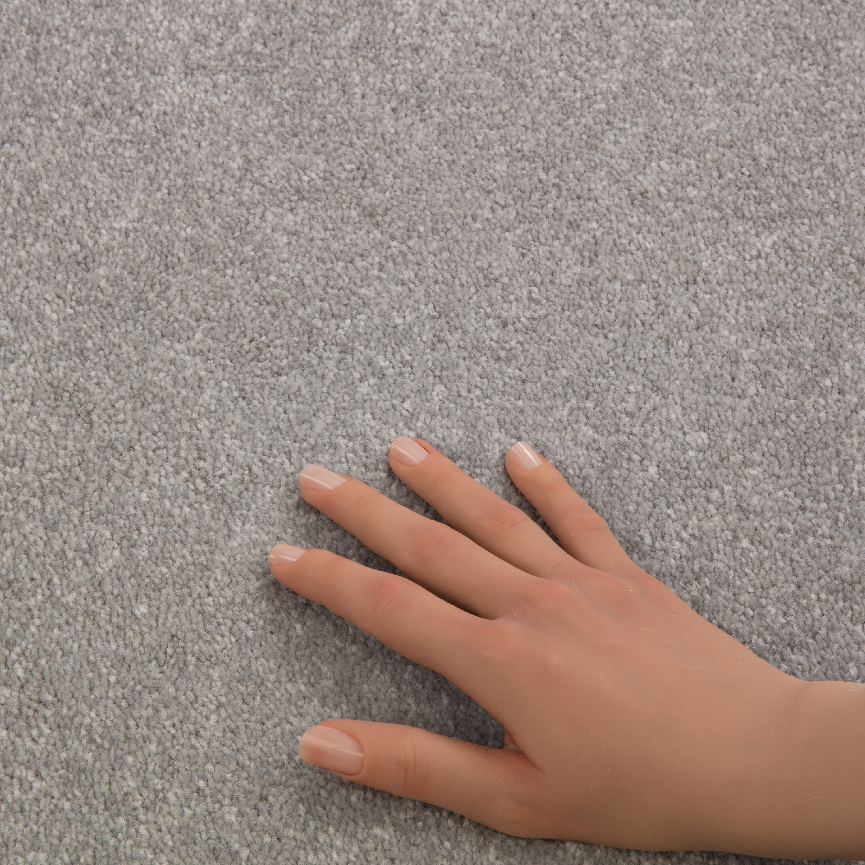 STAINMASTER 7L863 - 508 - SAMP Carpet-Samples - View #4