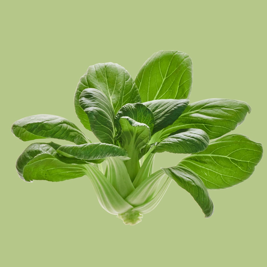 Lettuce Grow SO-SV-6-7174351 Vegetable-Plants - View #7