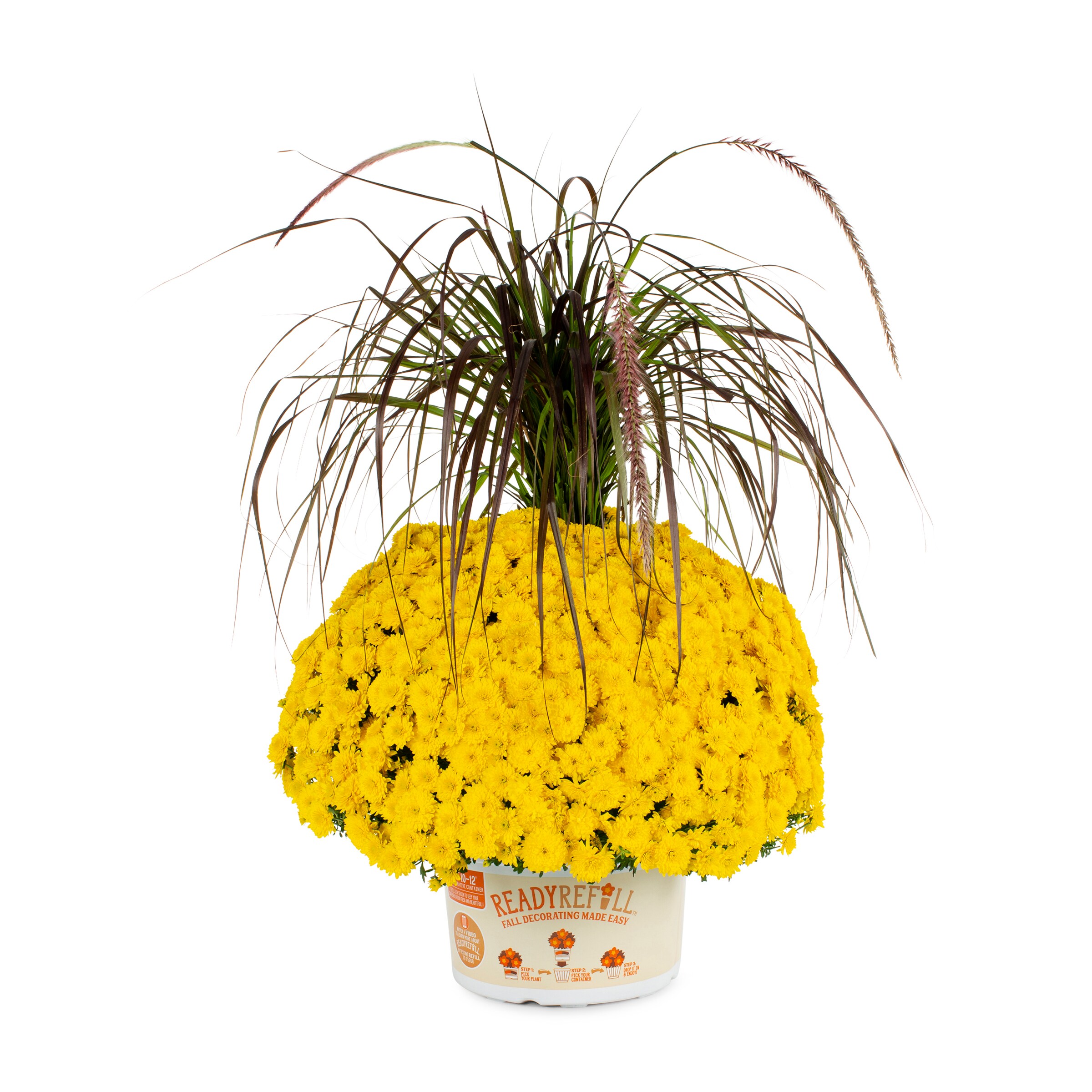 Ready Refill NURSERY Red Mum in 1.5-Gallon Pot