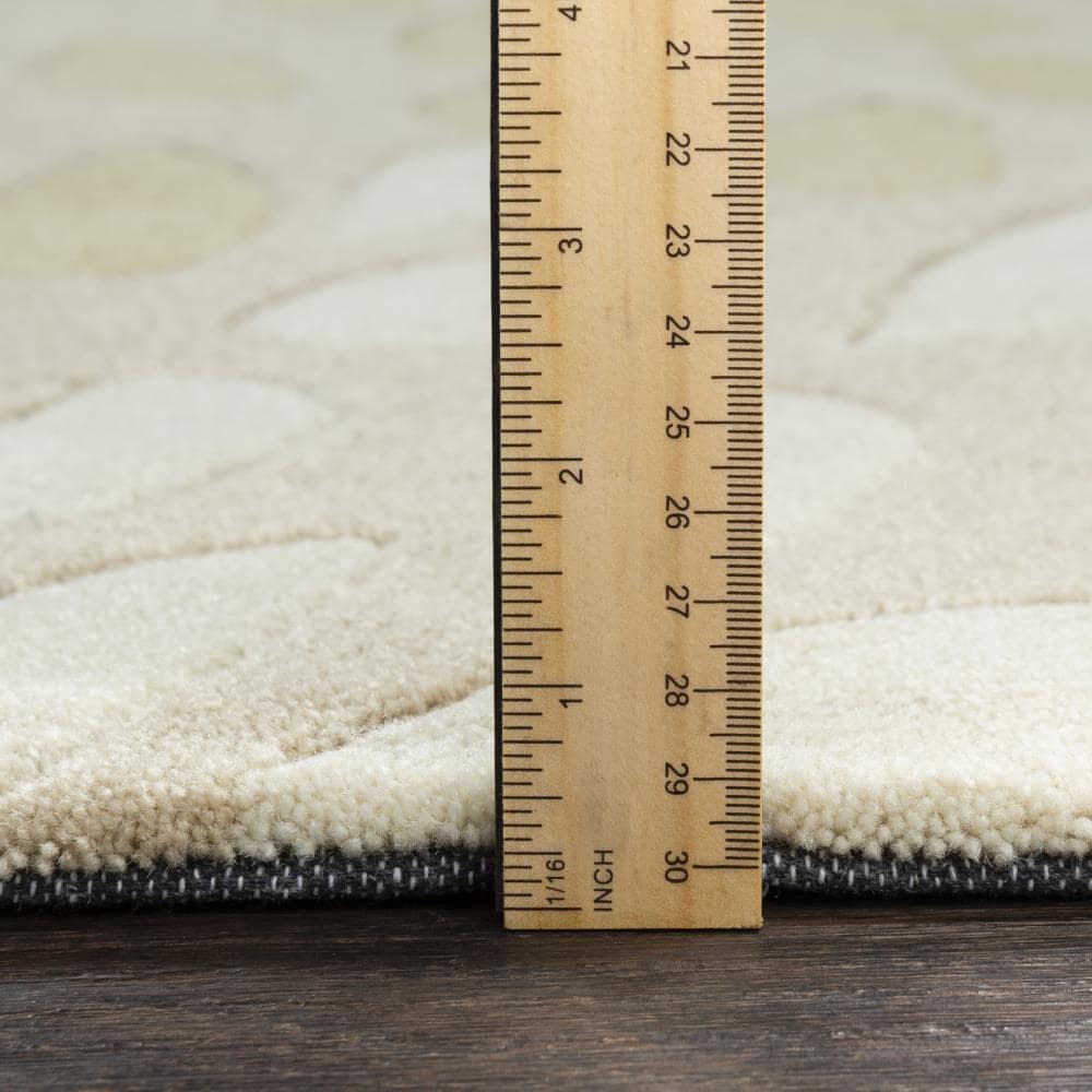 Surya COS9267-3656 rugs - View #5