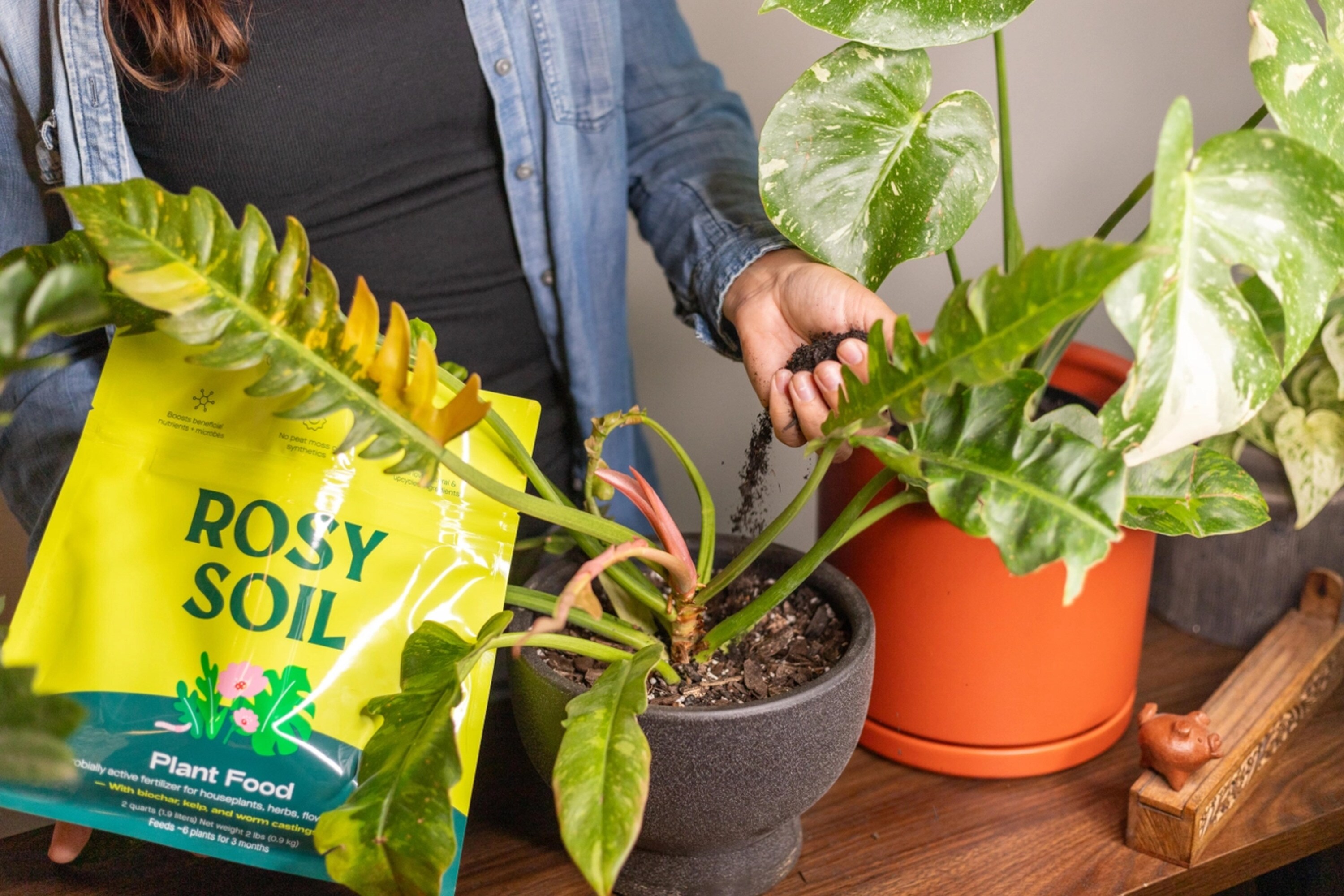 Rosy Soil PF2 Plant-Food - View #6