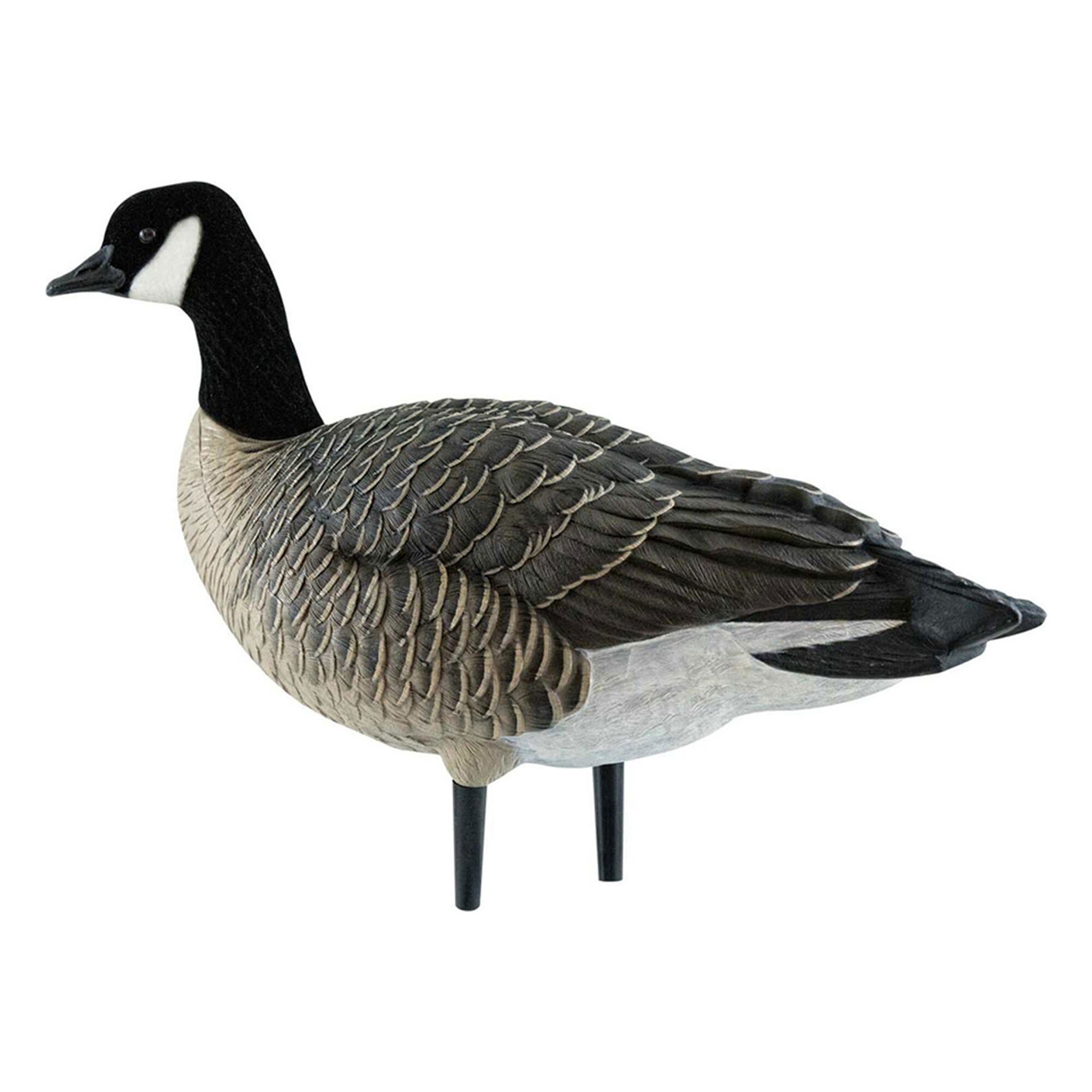  Avian X 399283 Hunting-Equipment - View #11